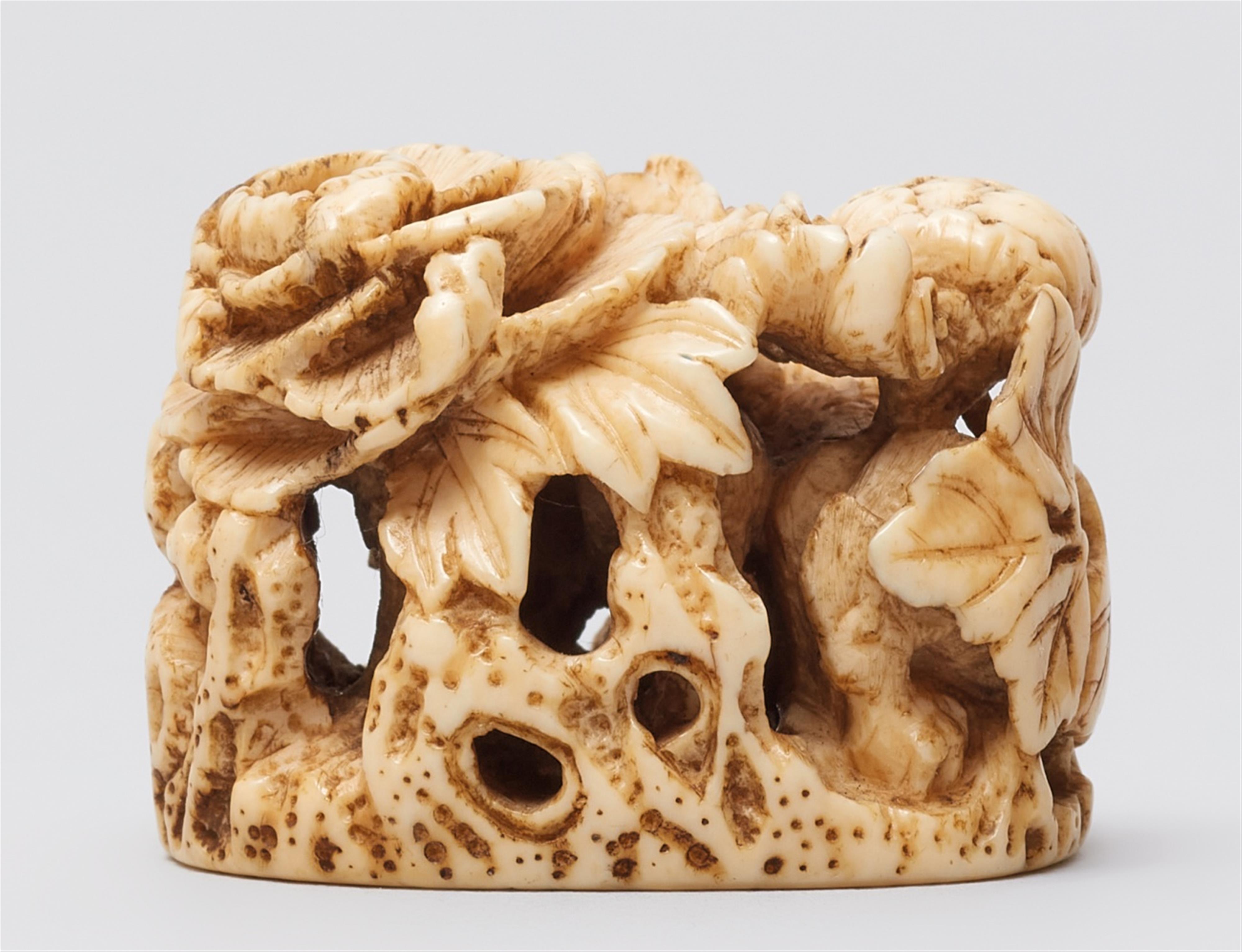 An ivory netsuke of shishi under peonies. Mid-19th century - image-3