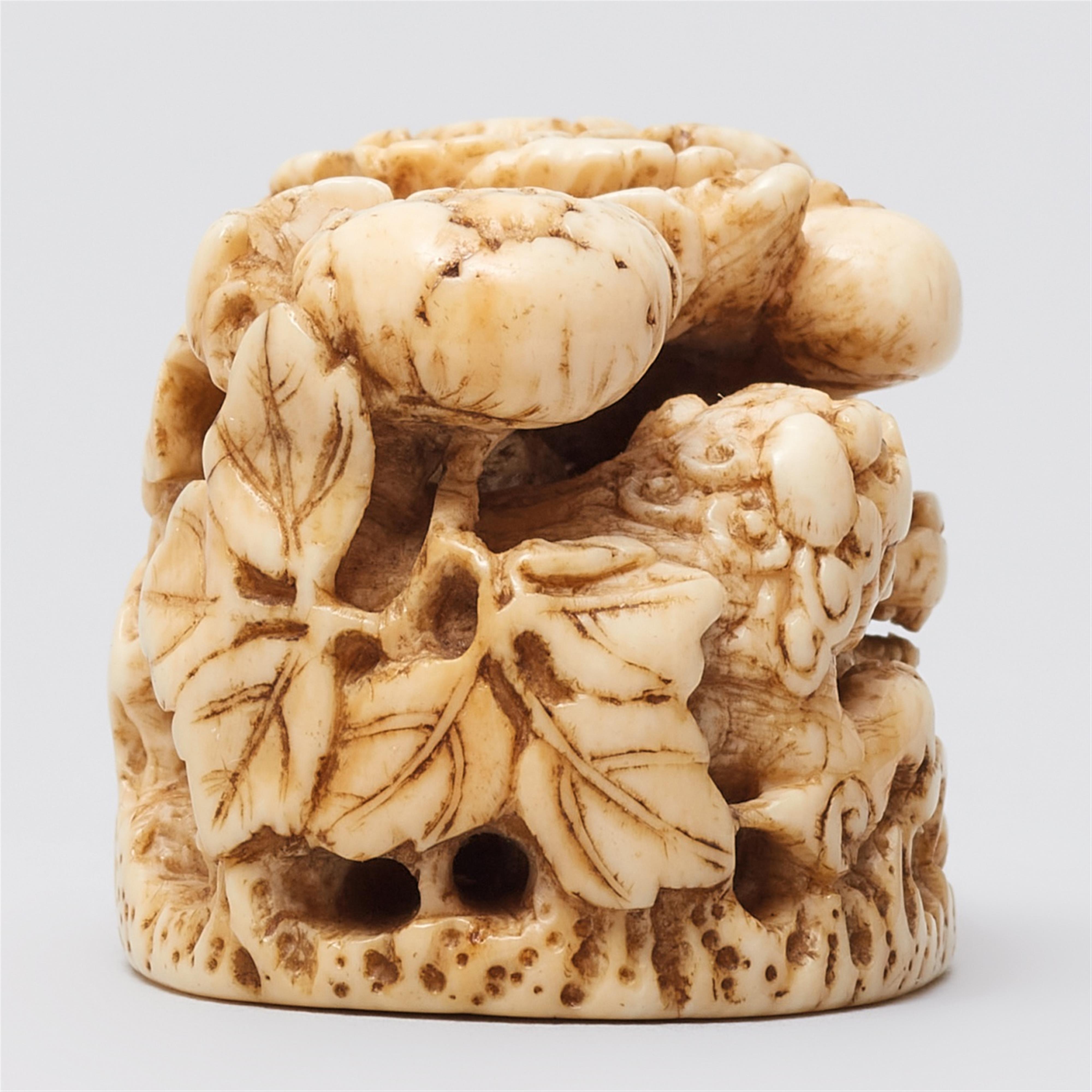 An ivory netsuke of shishi under peonies. Mid-19th century - image-4