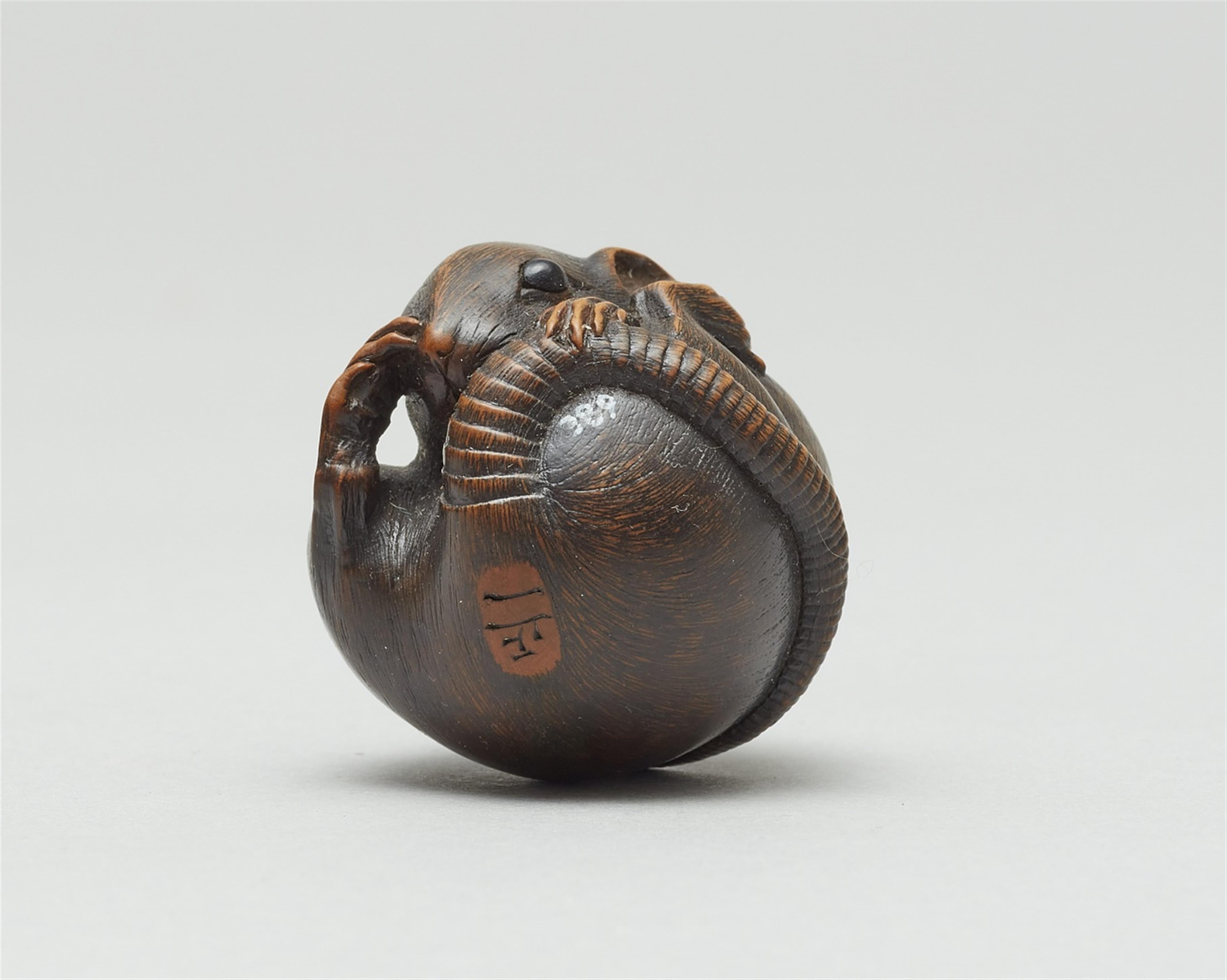 A boxwood netsuke of a coiled rat. Late 19th century - image-2