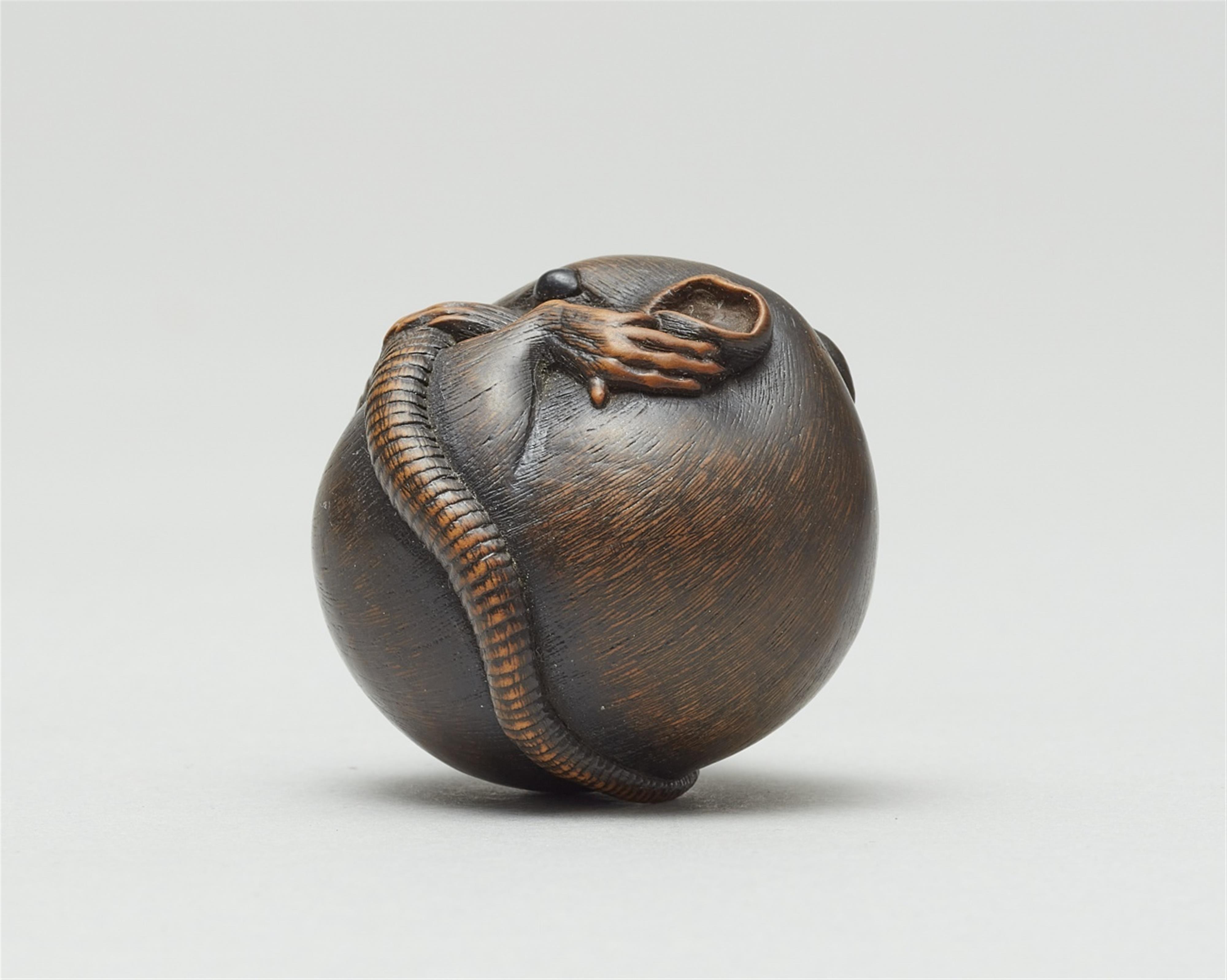 A boxwood netsuke of a coiled rat. Late 19th century - image-3