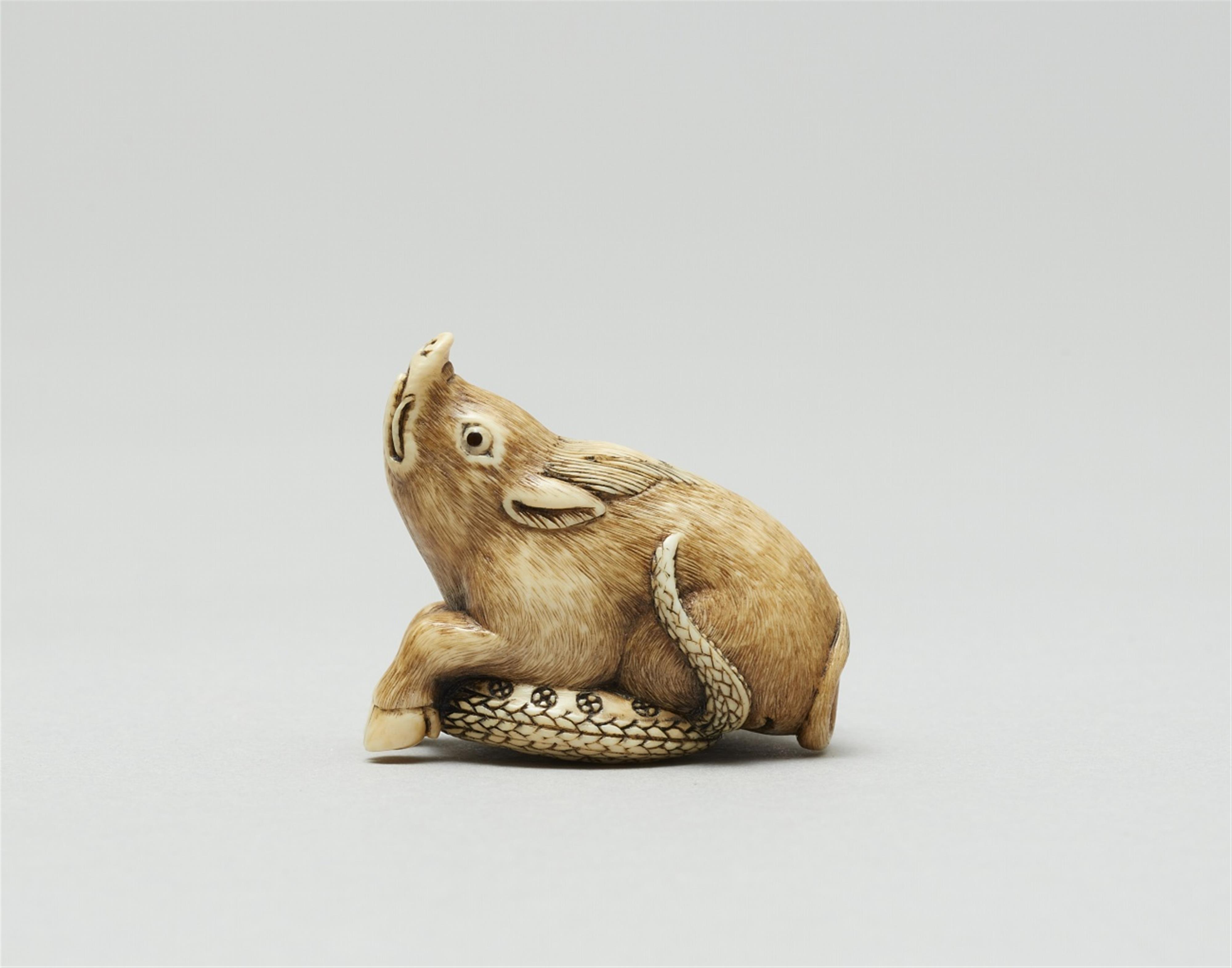 An ivory netsuke of a boar with a snake. Late 19th century - image-5