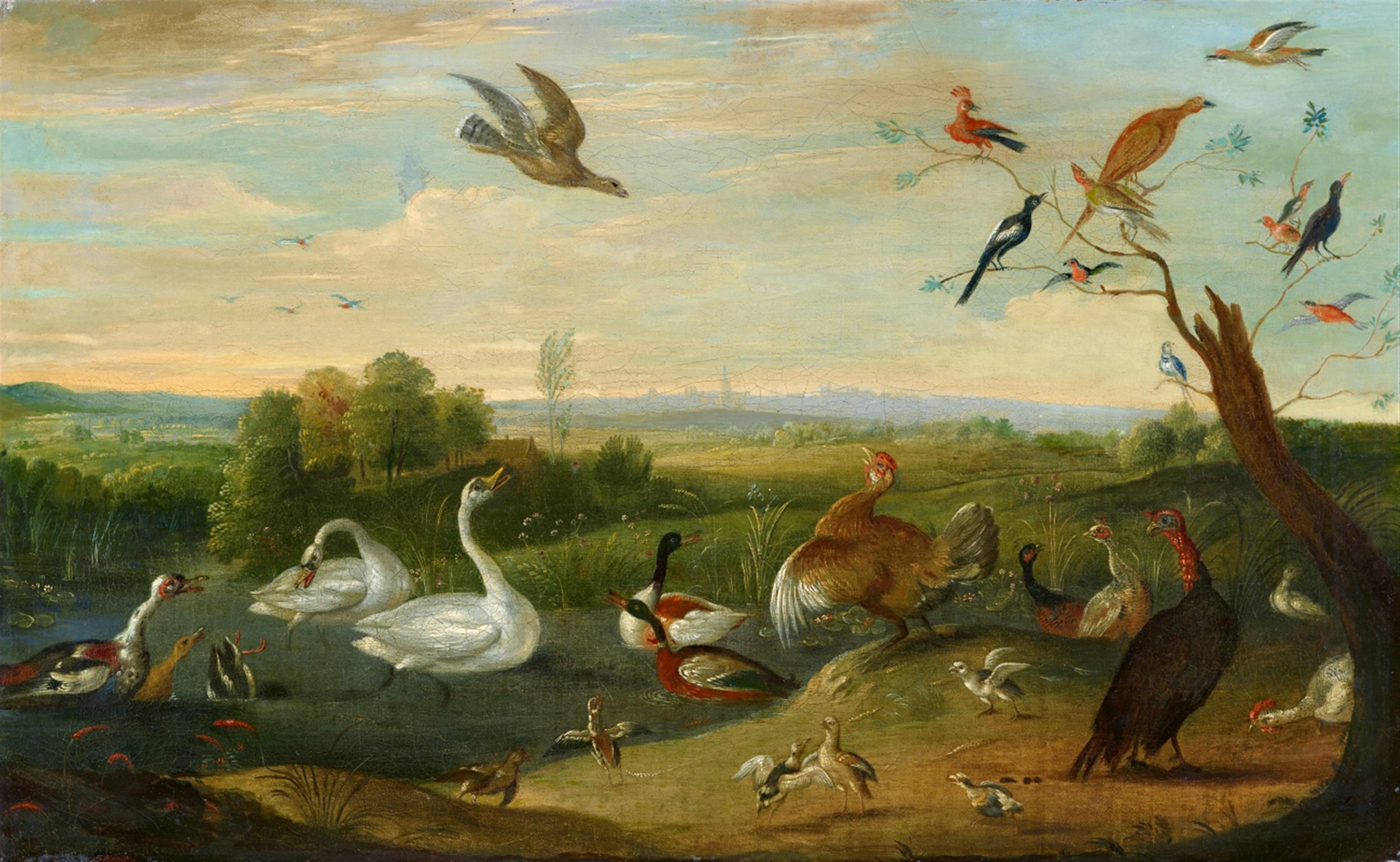 Jan van Kessel d. Ä. - Wasservögel von einem Bussard bedroht - image-1