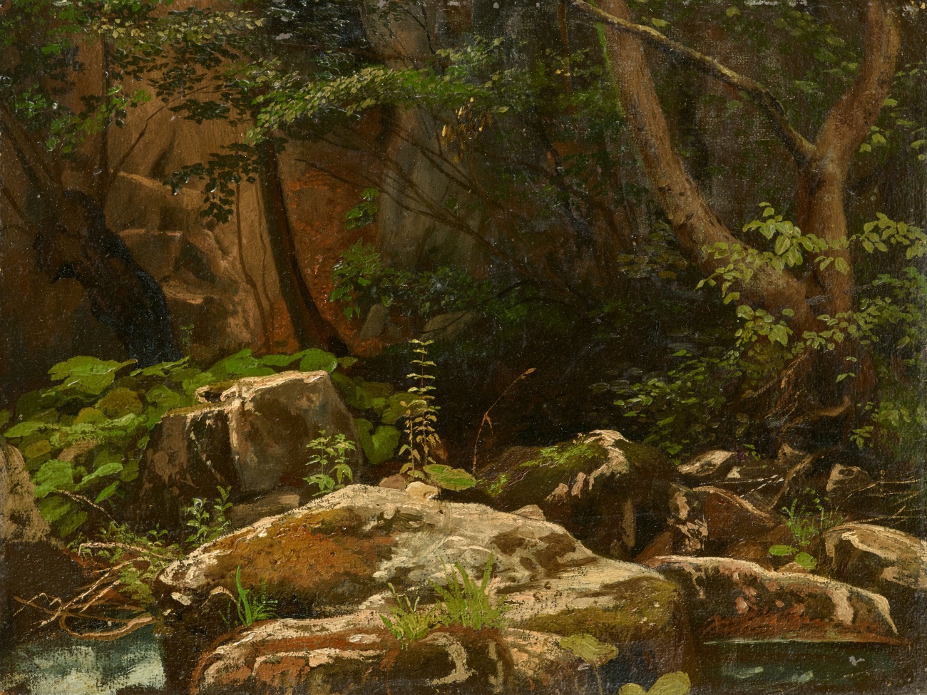 Johann Wilhelm Schirmer - Forest Landscape with Boulders - image-1