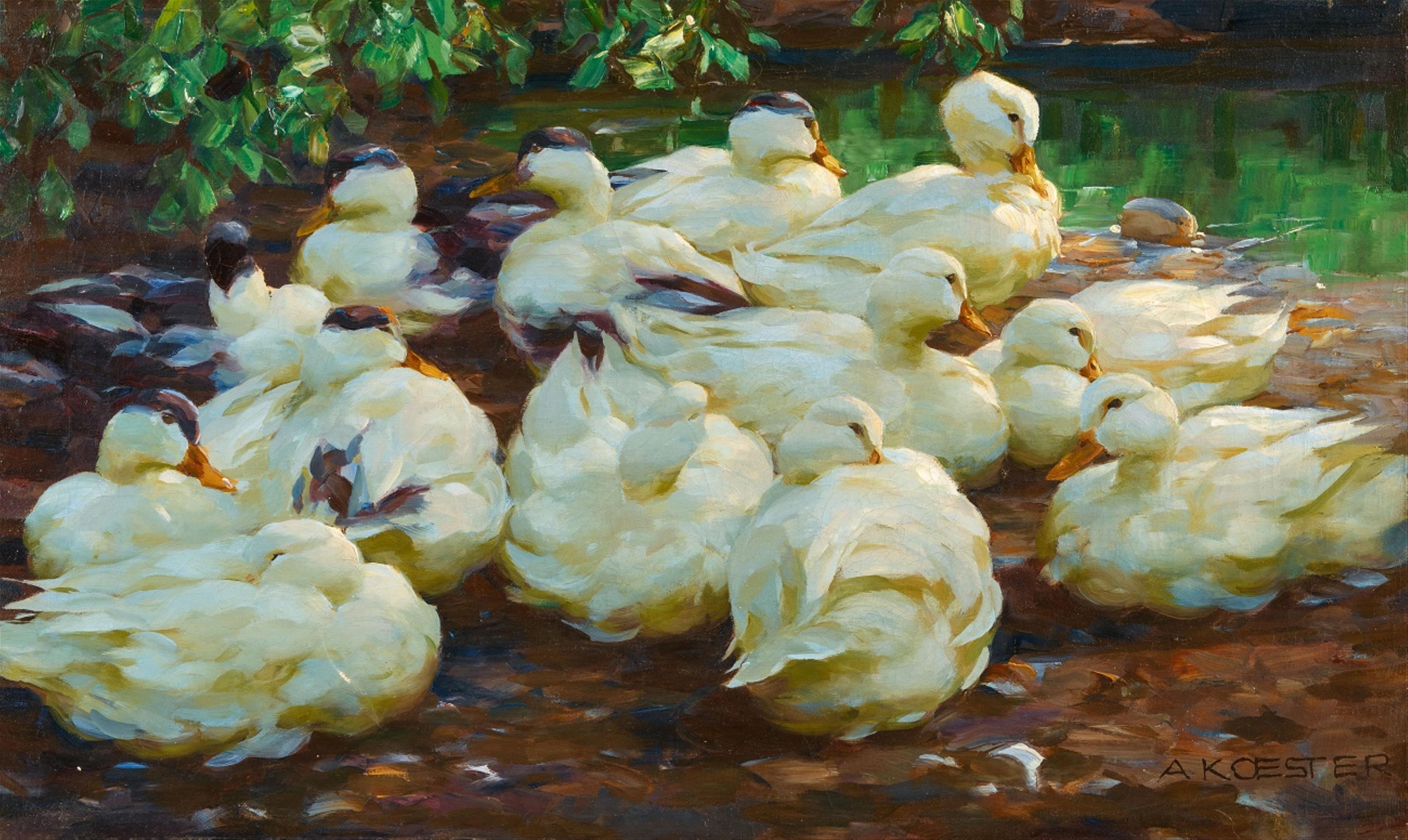 Alexander Koester - White Ducks by a Pond - image-1