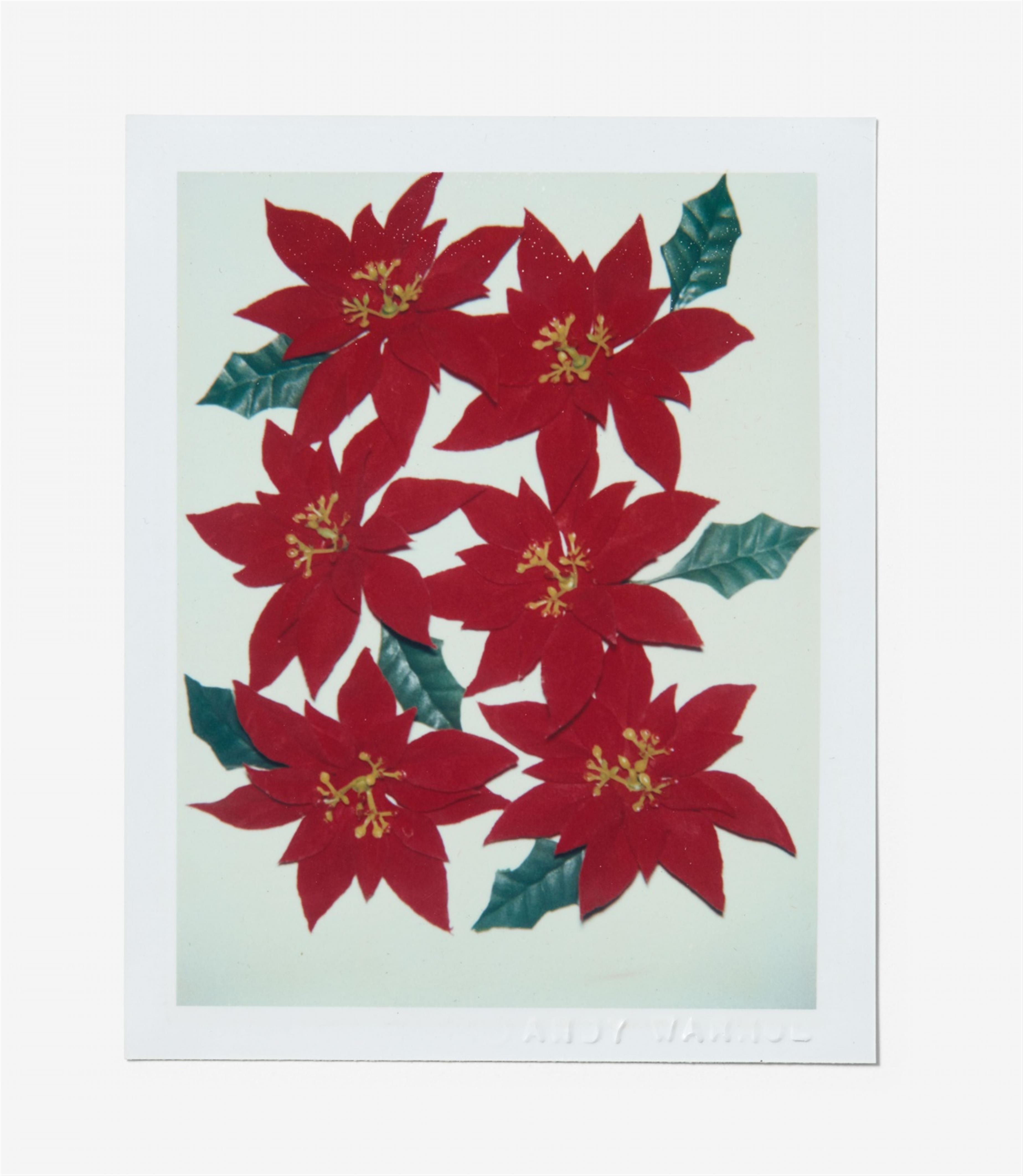 Andy Warhol - Poinsettias - image-1
