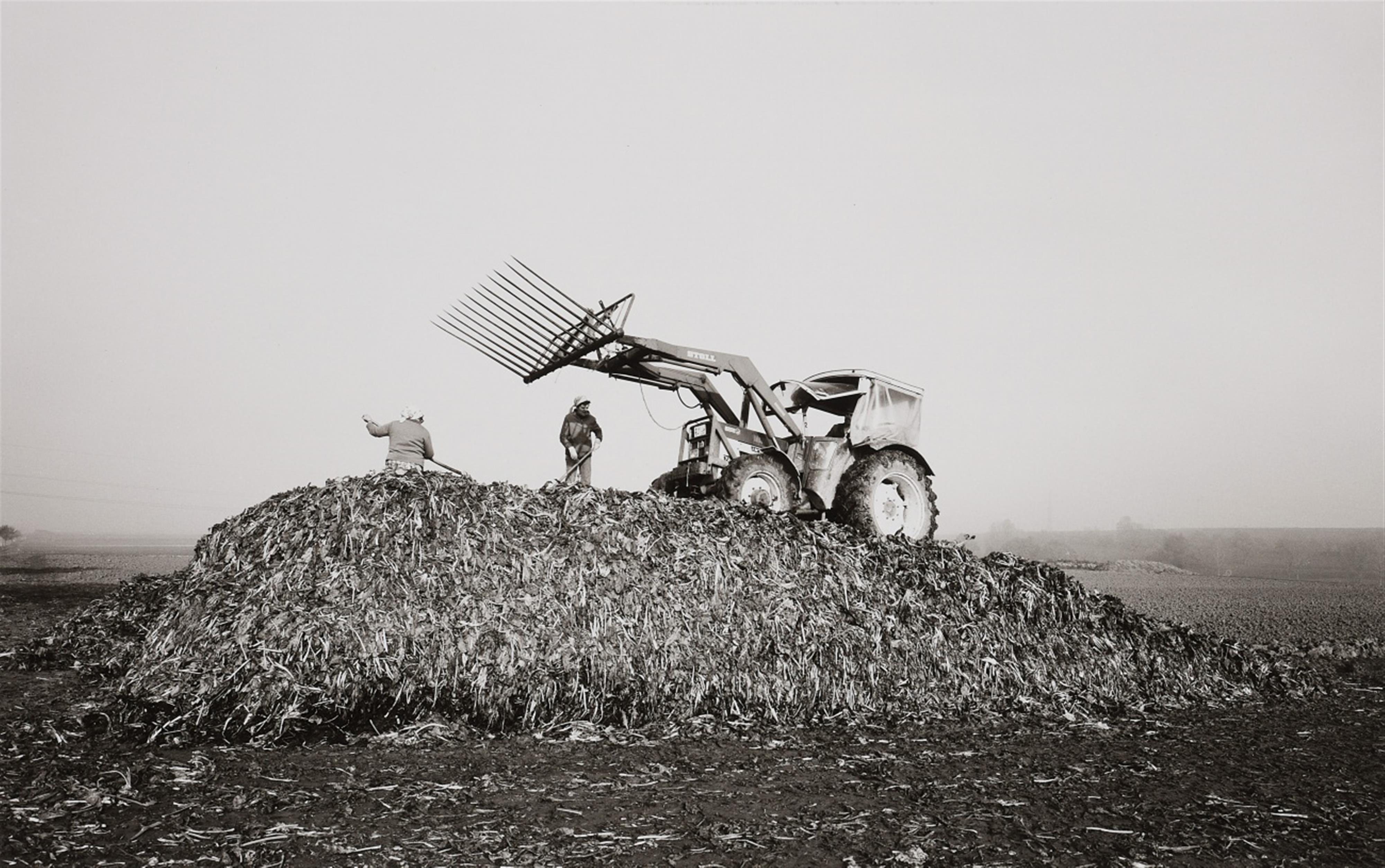 Heinrich Riebesehl - Ohne Titel (aus der Serie: Agrarlandschaften) - image-2