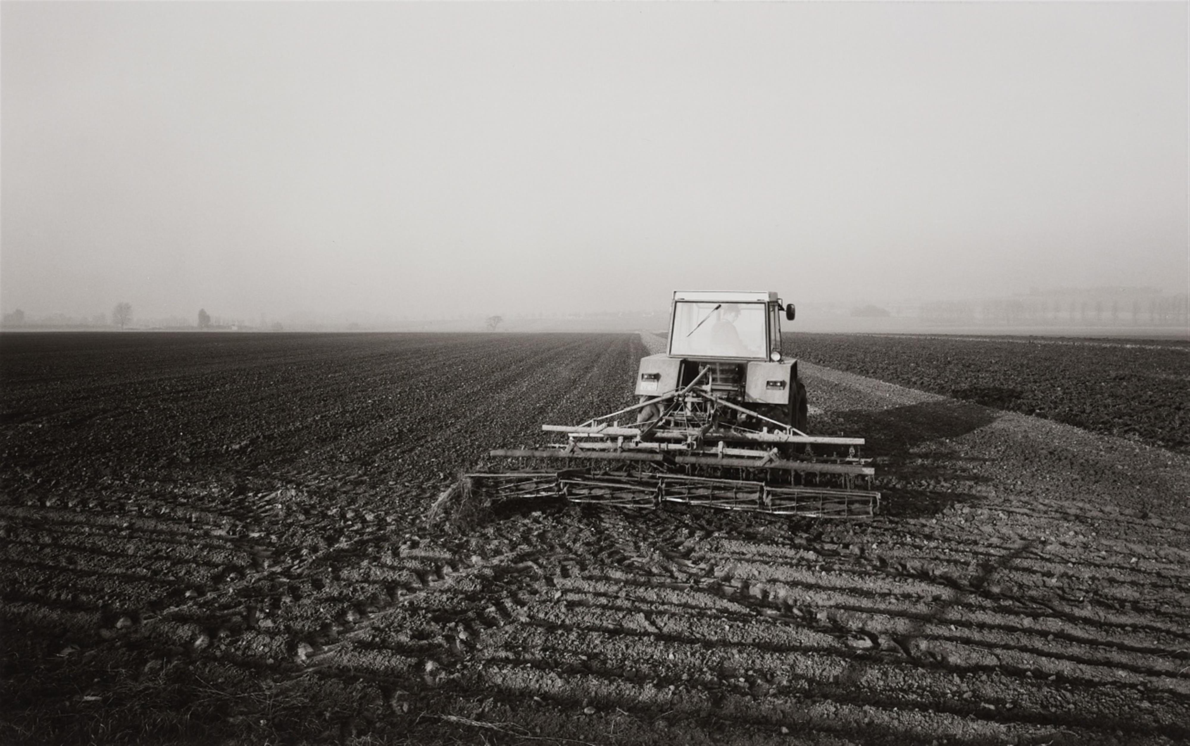 Heinrich Riebesehl - Ohne Titel (aus der Serie: Agrarlandschaften) - image-5