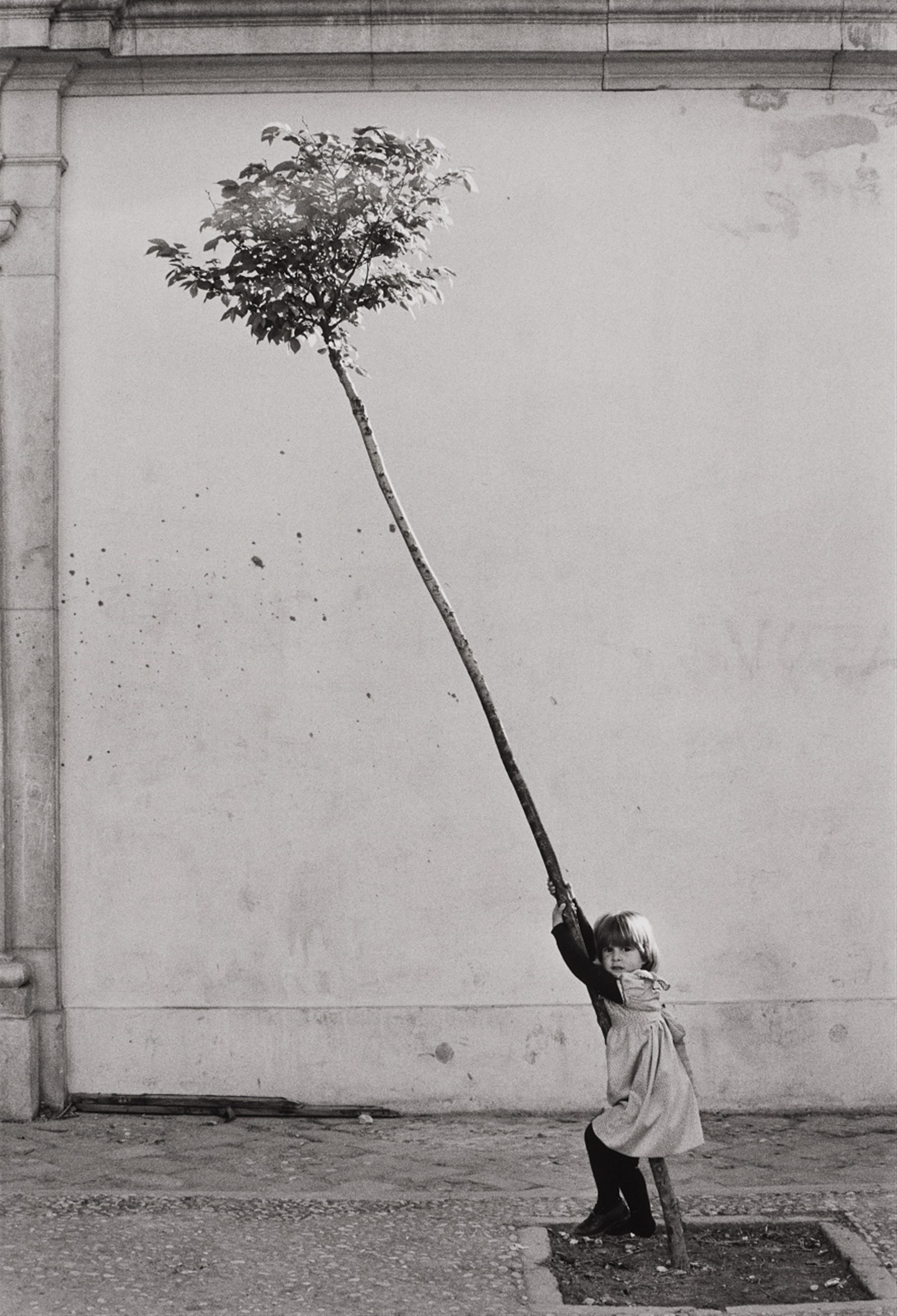 Sabine Weiss - Petite fille, petite arbre, Espagne - image-1