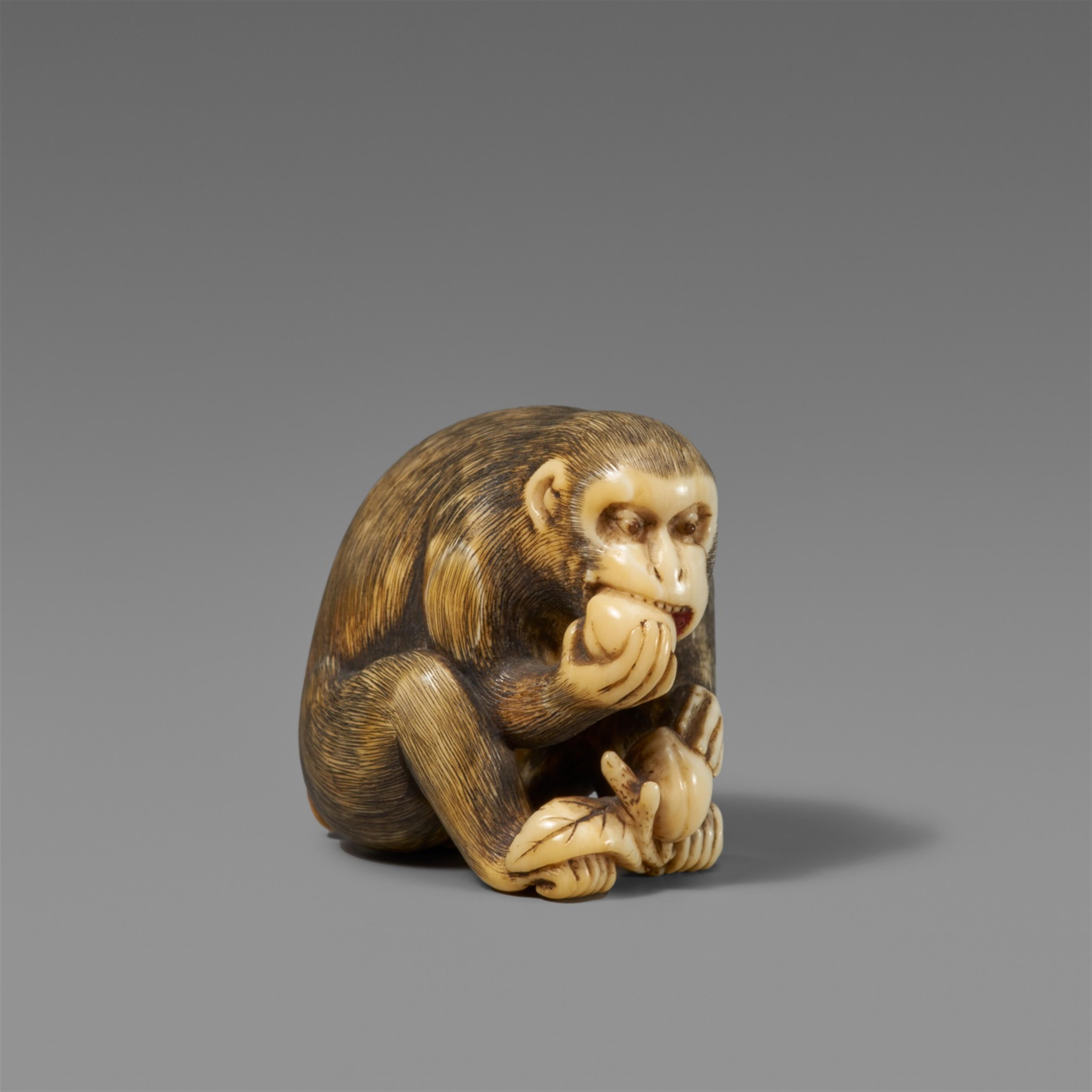 An ivory netsuke of a seated monkey. Early 19th century - image-1