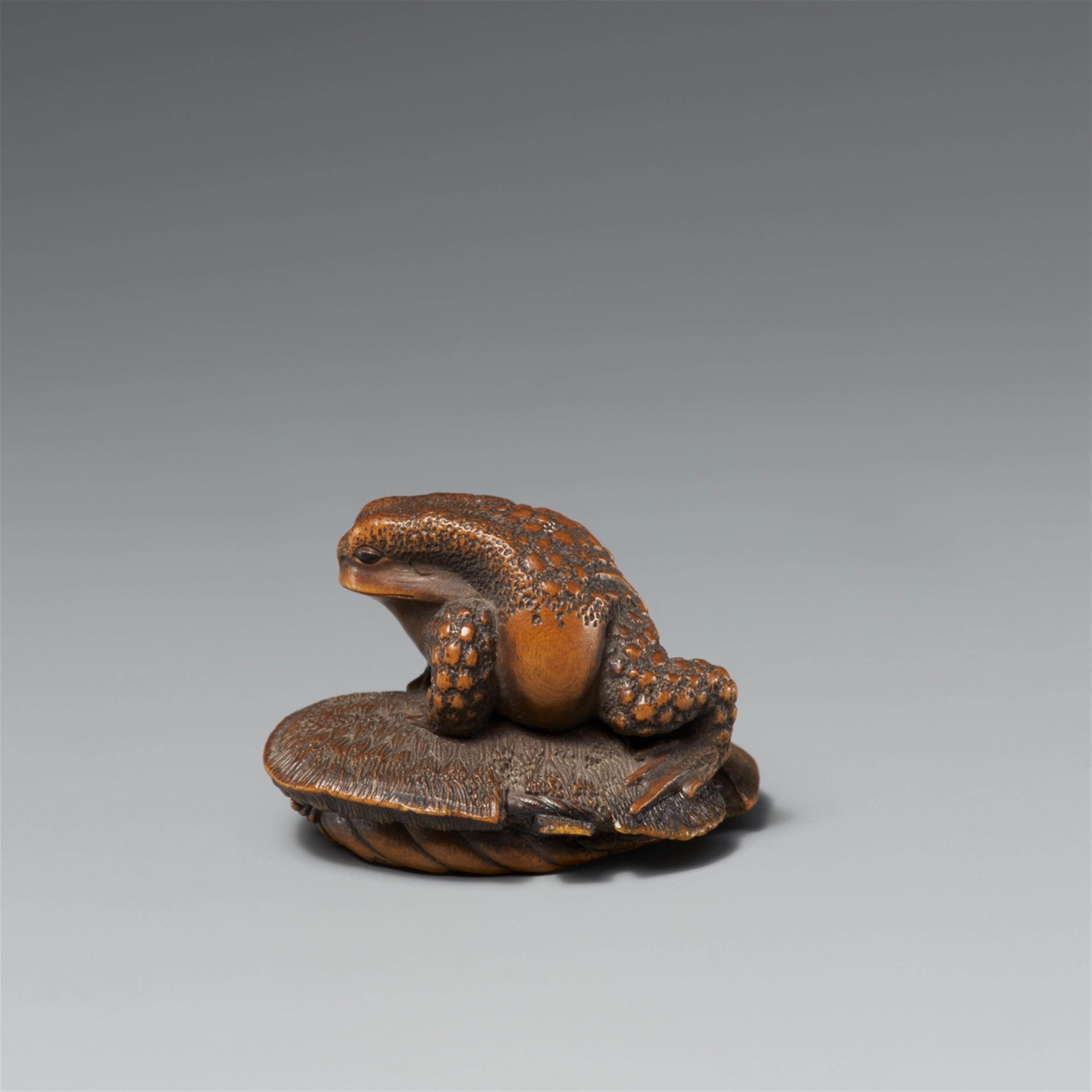 A boxwood netsuke of a toad on a sandal. Late 19th century - image-2