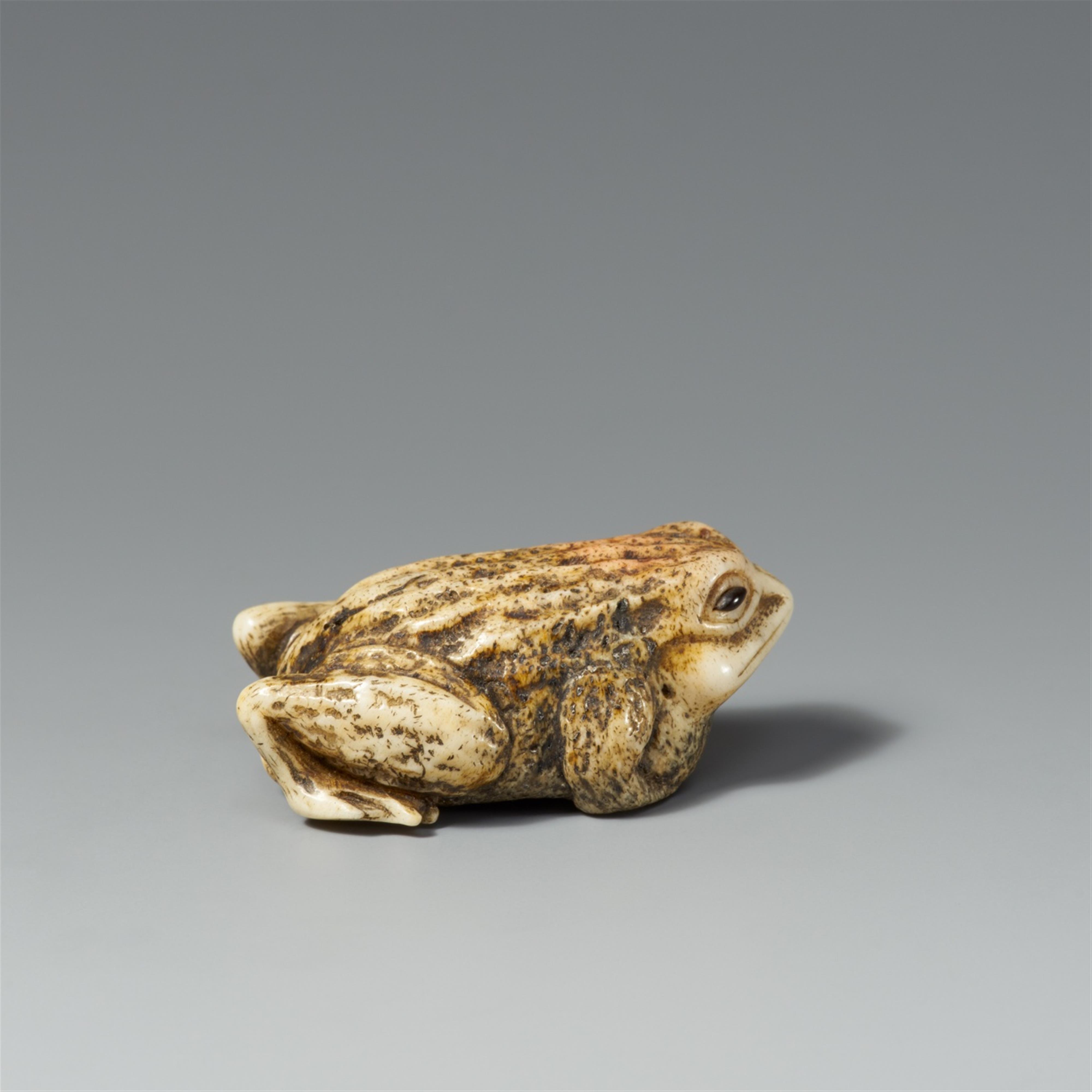 A bone netsuke of a toad. 19th century - image-2