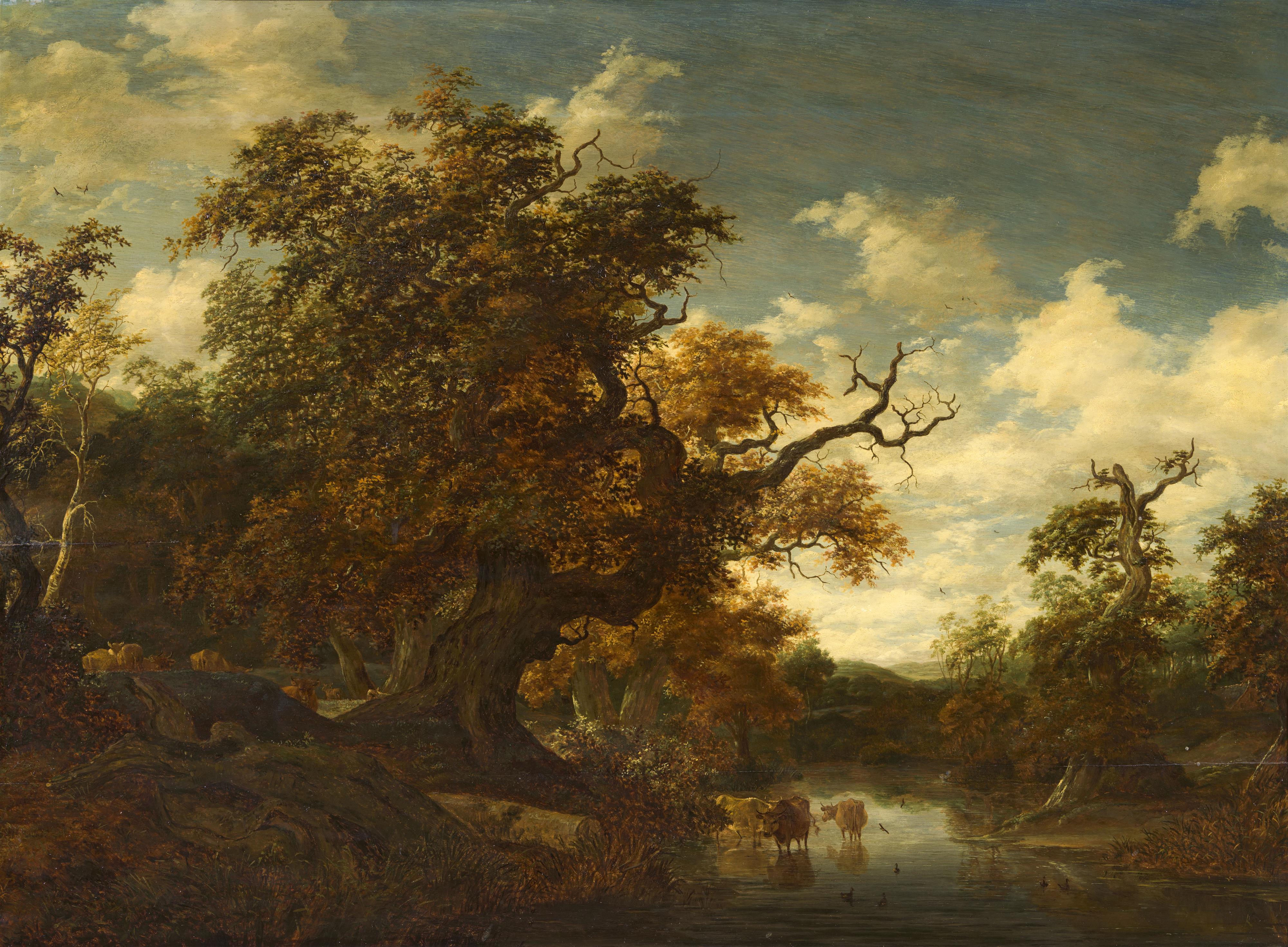 Jacob Salomonsz. van Ruysdael - Landschaft mit großer Eiche, Gewässer und Rindern - image-1