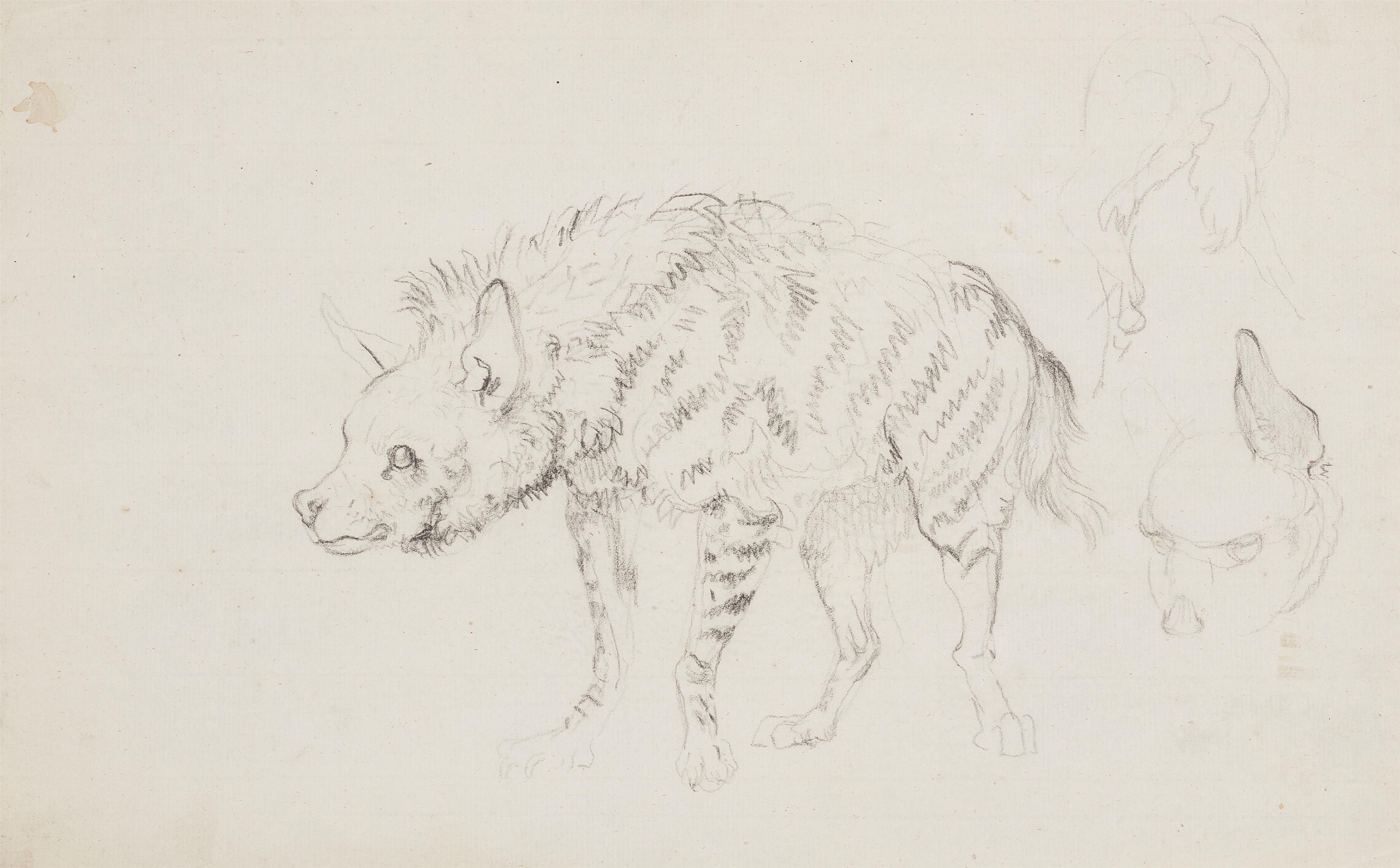 Johann Heinrich Wilhelm Tischbein - Three Animal Studies:
Study of a Leopard
Study of a Hyena
Striding Tiger - image-2