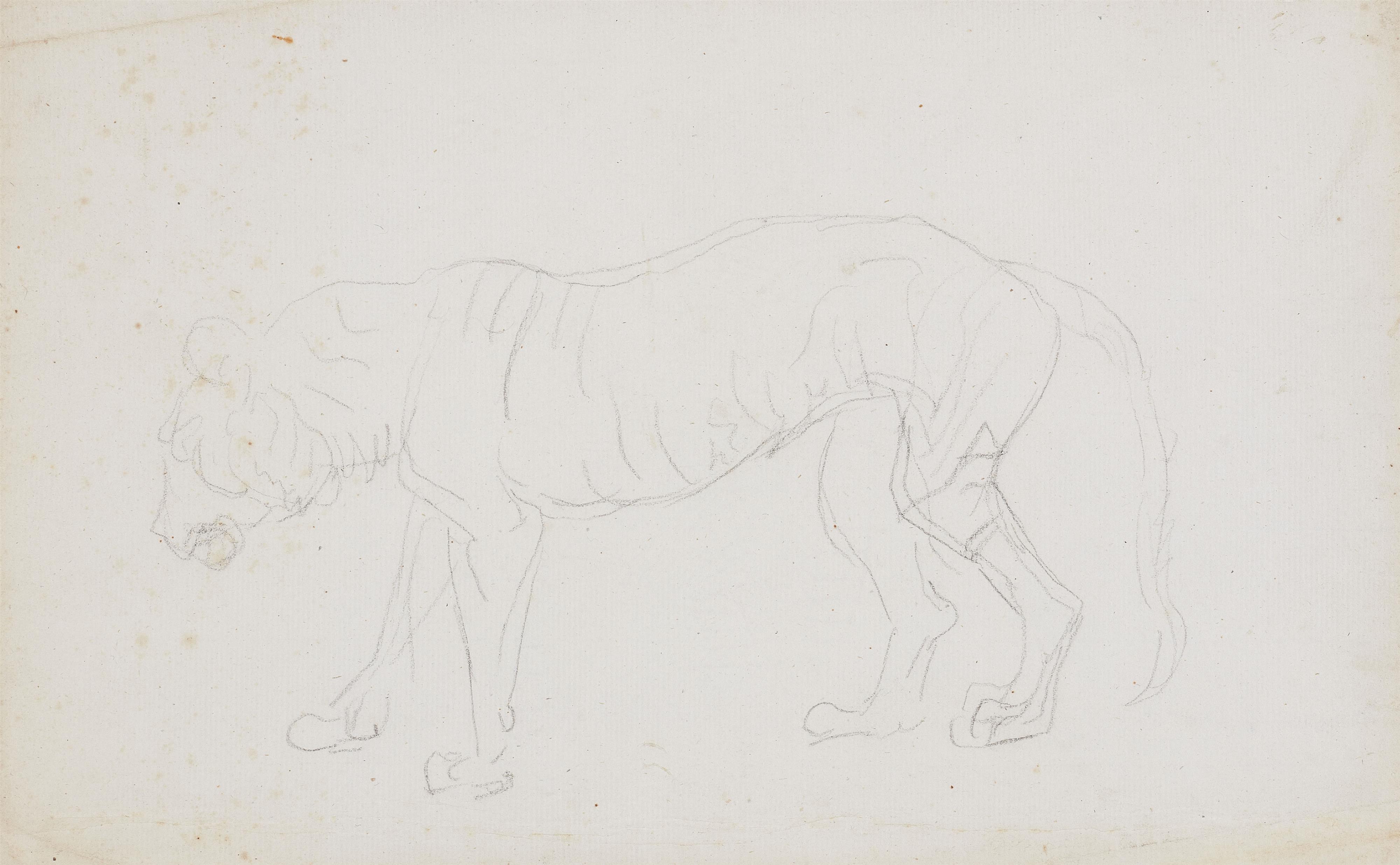 Johann Heinrich Wilhelm Tischbein - Drei Tierzeichnungen:
Studie zu einem Leoparden
Studie zu einer Hyäne
Schreitender Tiger - image-3