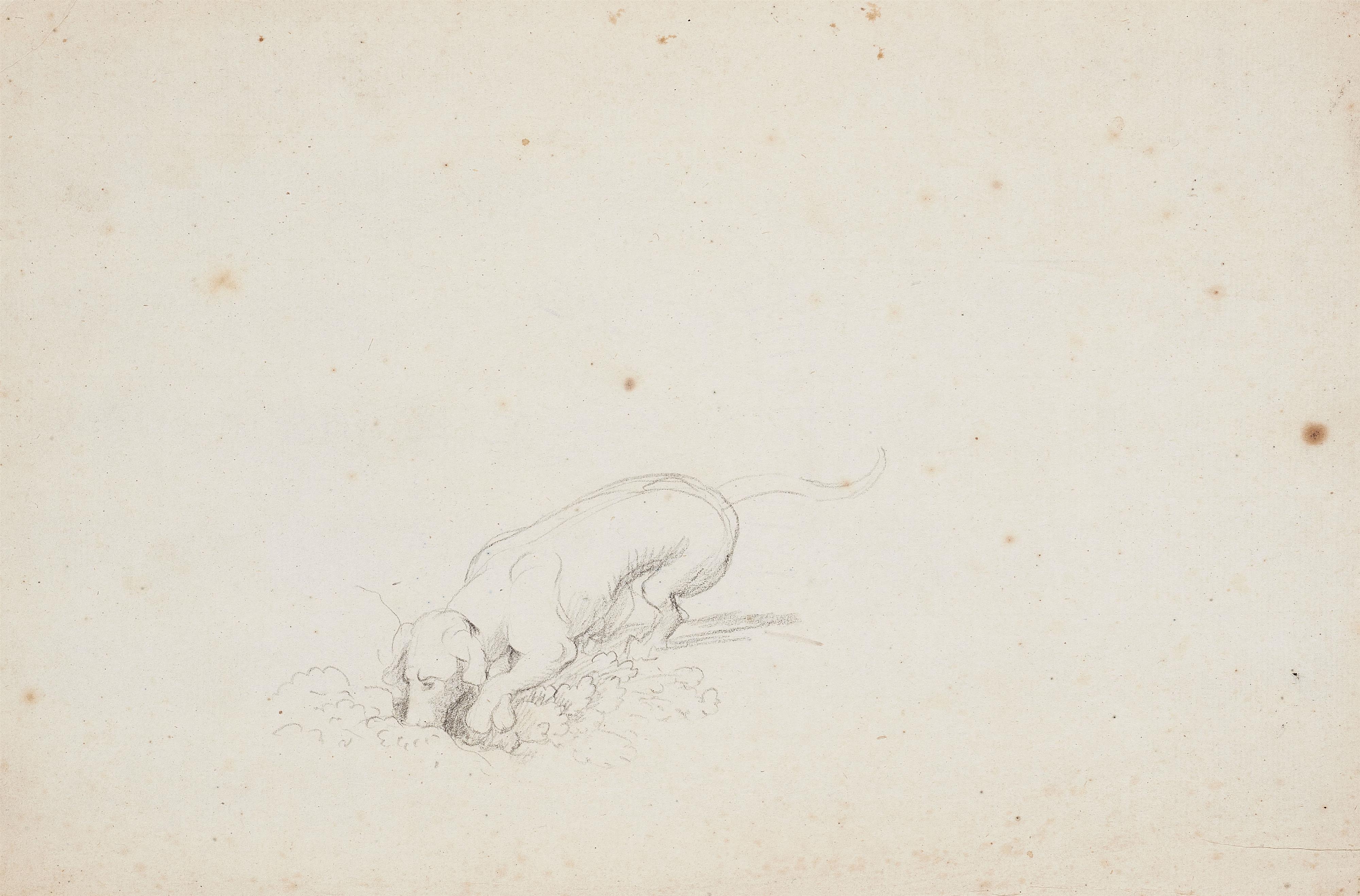 Johann Heinrich Wilhelm Tischbein - Three Dog Studies - image-2