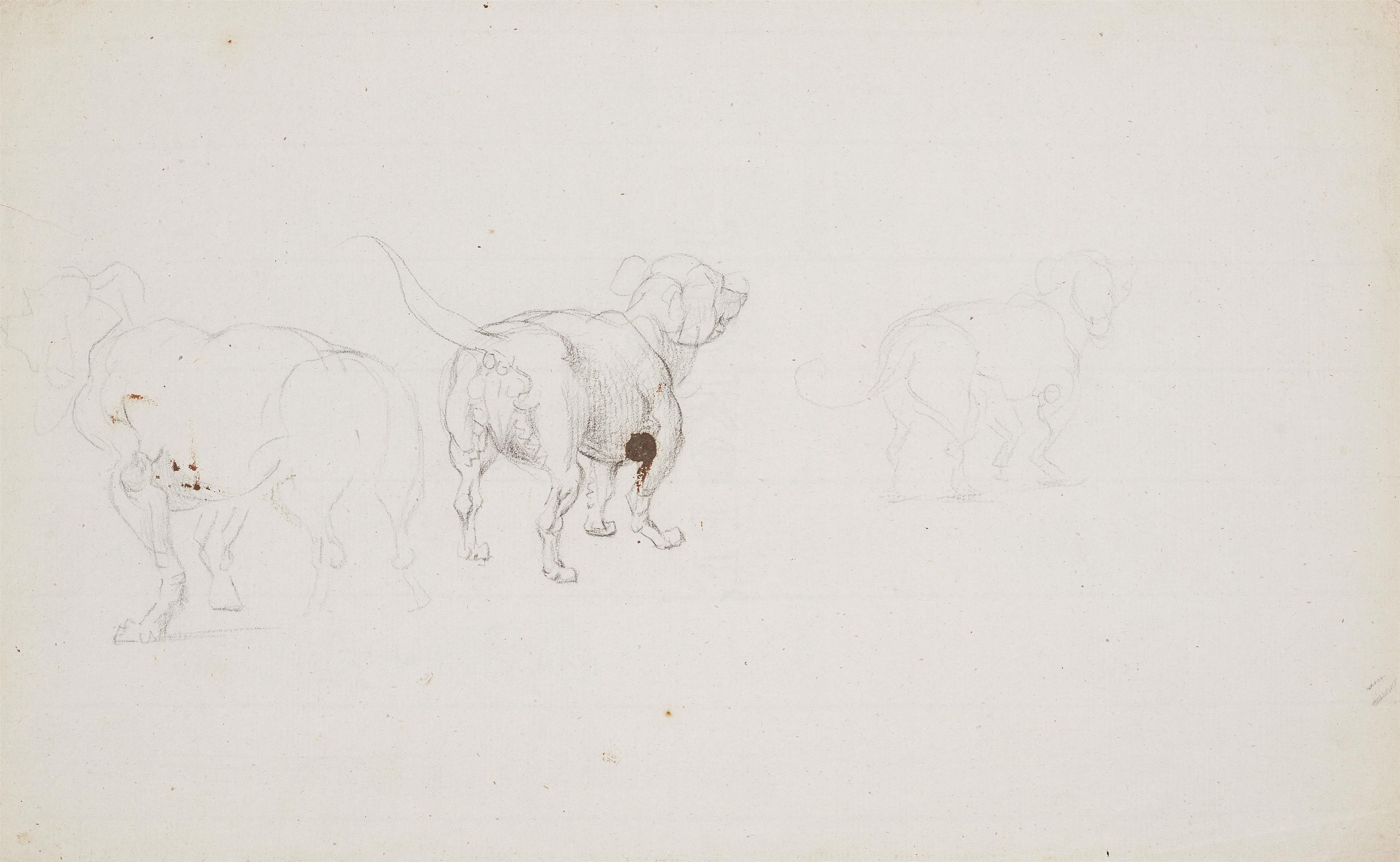 Johann Heinrich Wilhelm Tischbein - Three Dog Studies - image-4