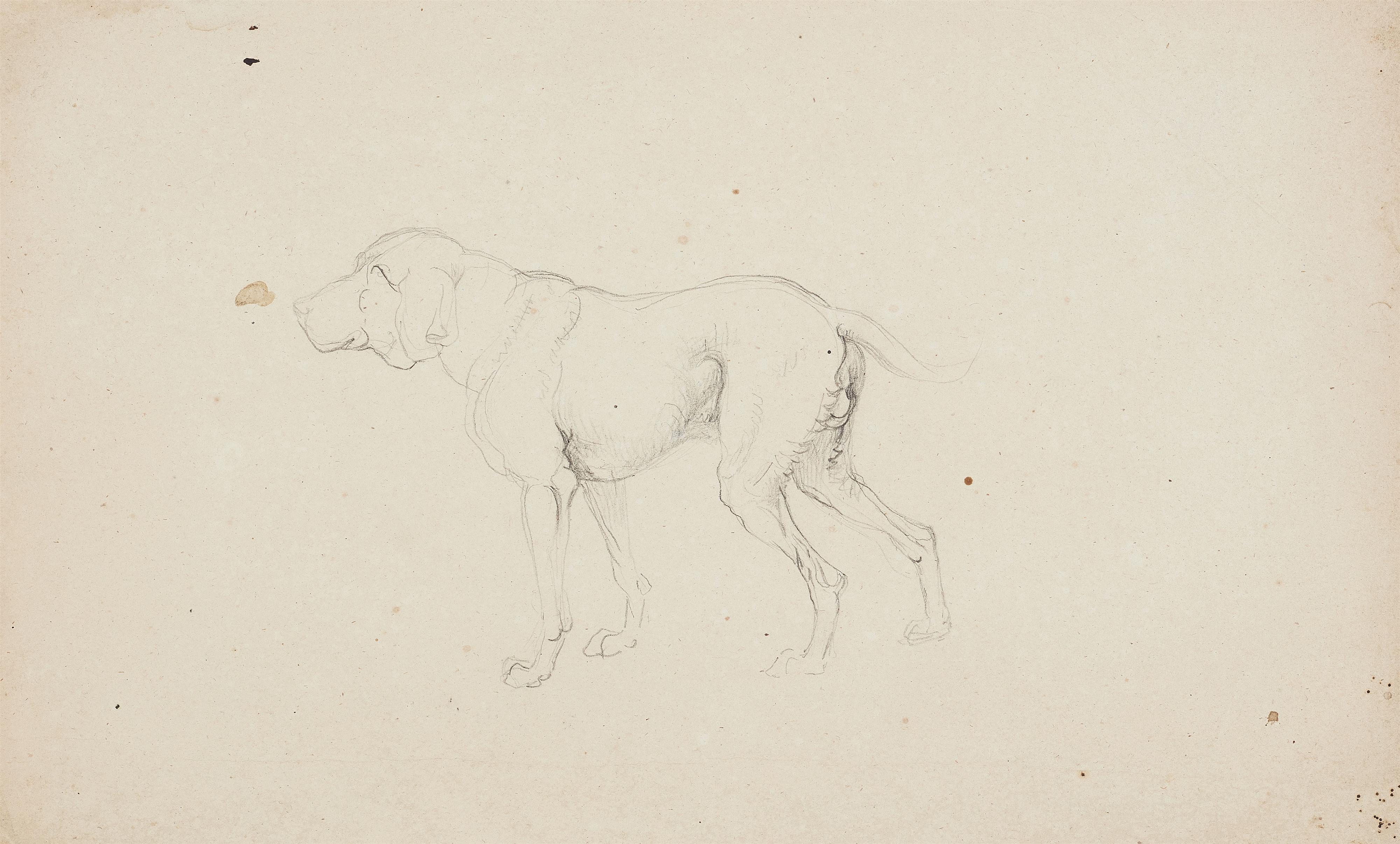 Johann Heinrich Wilhelm Tischbein - Three Dog Studies - image-1