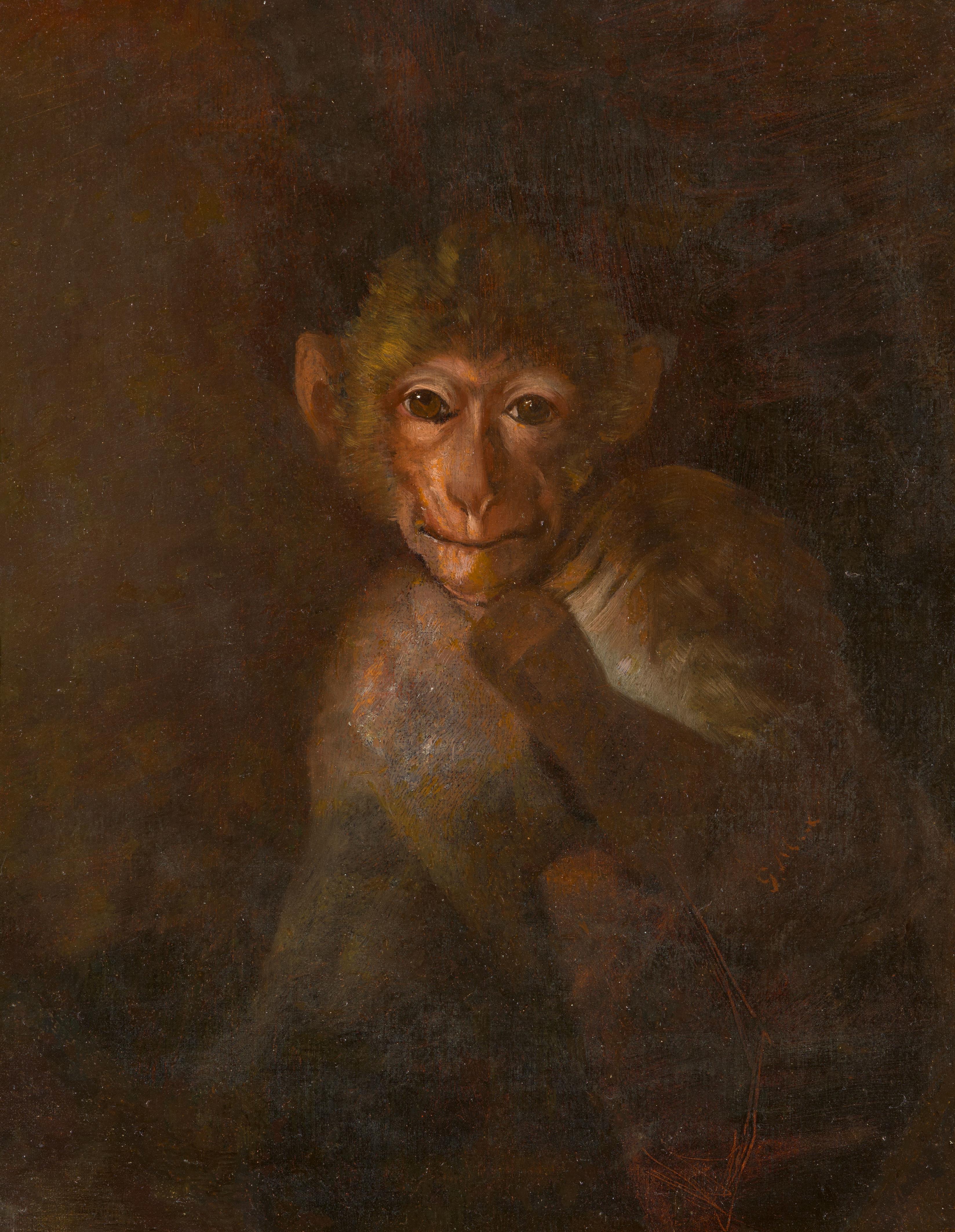 Gabriel von Max - Ein kleiner Affe aus dem Bild schauend - image-1