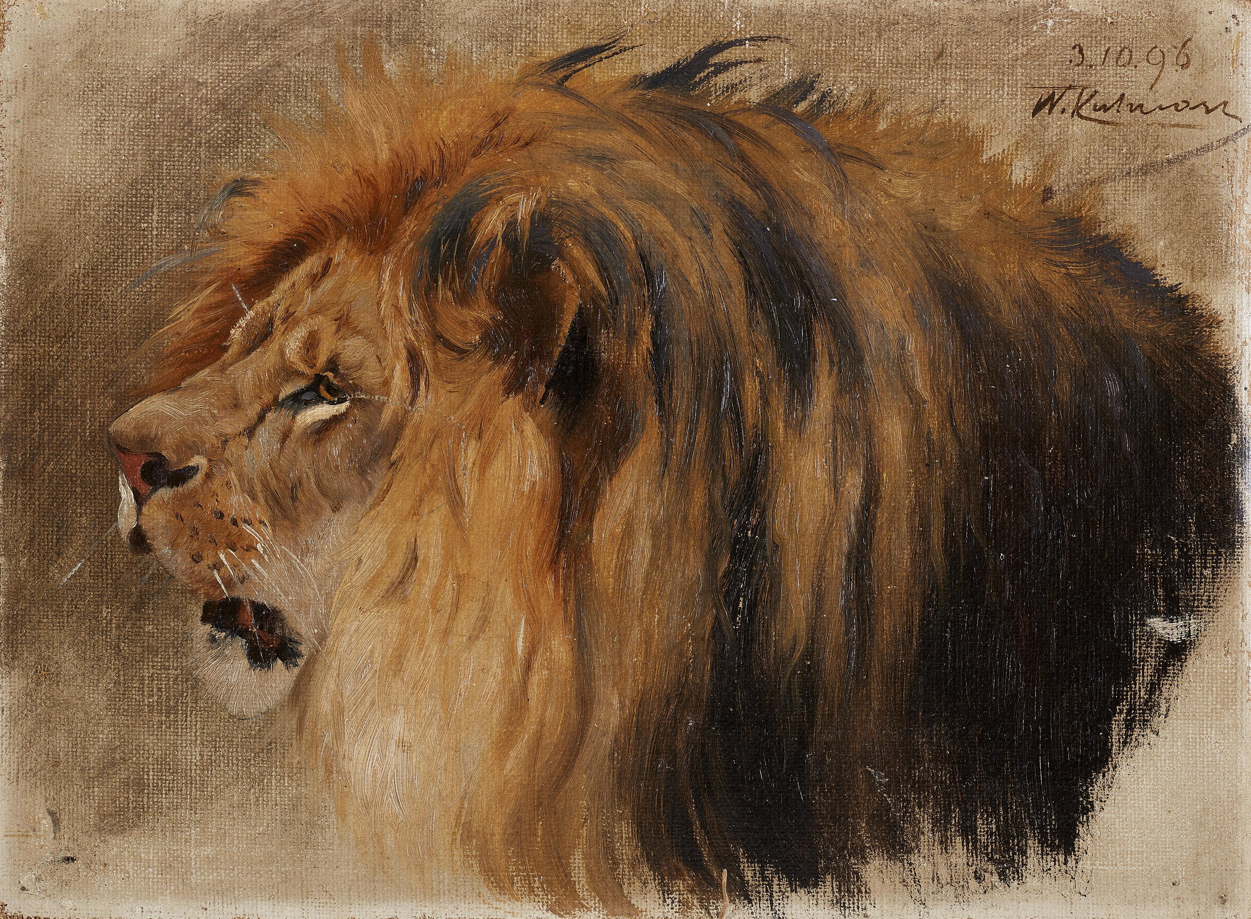 Wilhelm Kuhnert - Head of a Lion - image-1