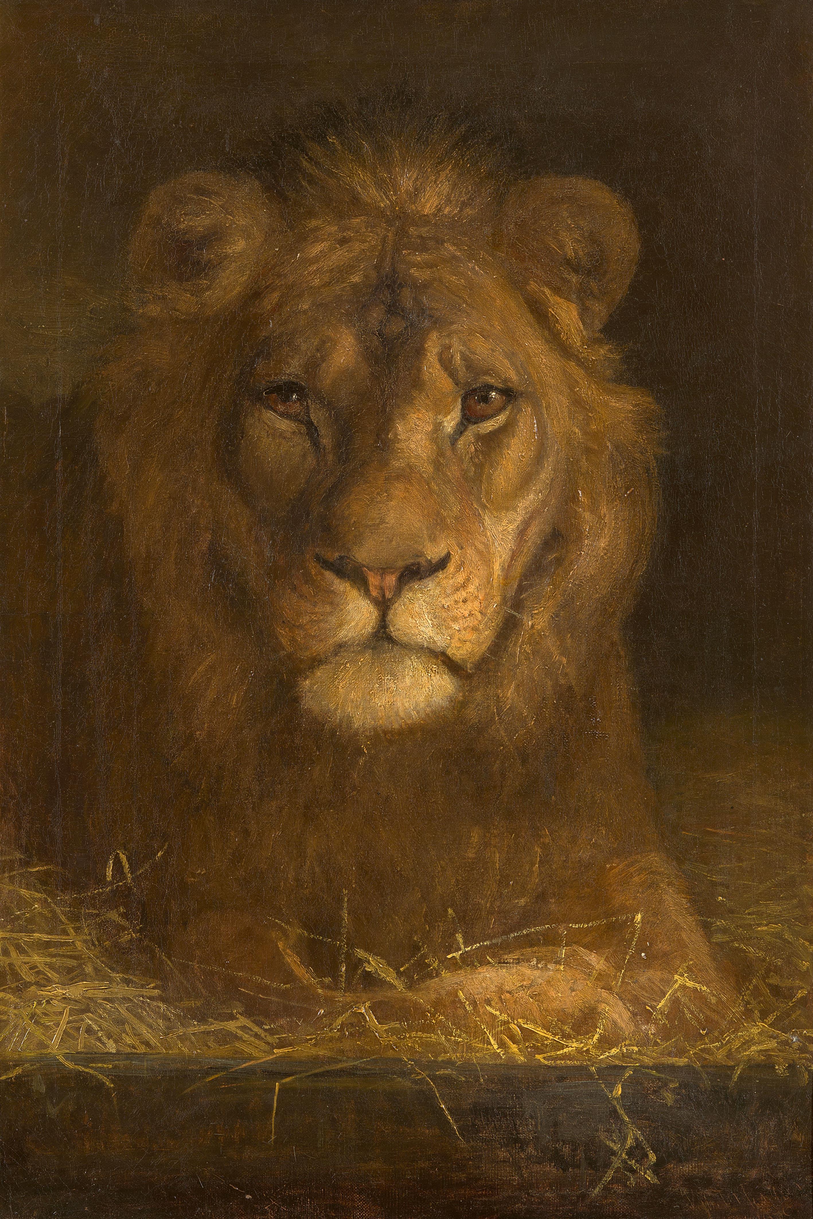 Unknown Artist - Head of a Lion - image-1