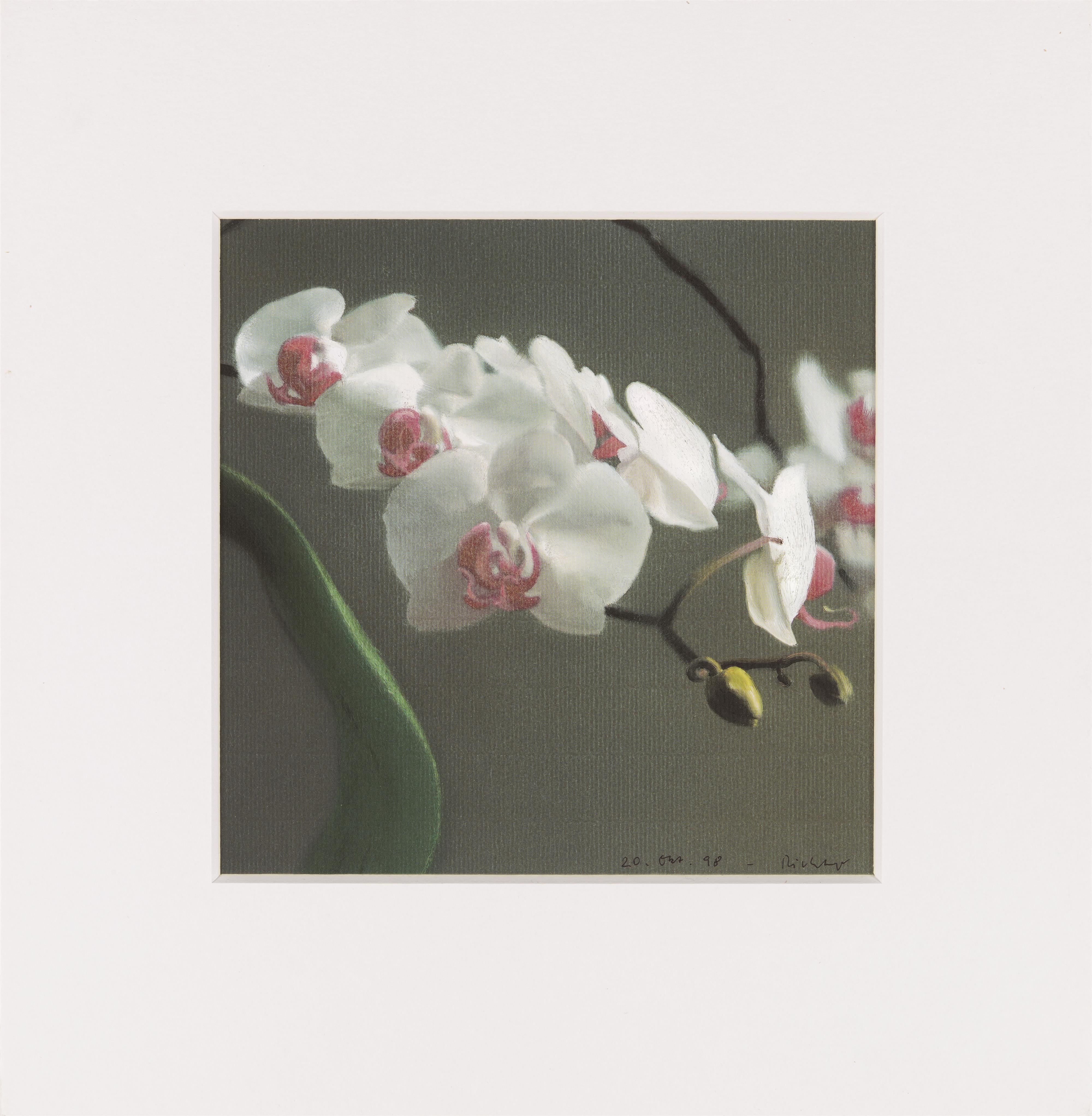 Gerhard Richter - Orchidee V - image-1