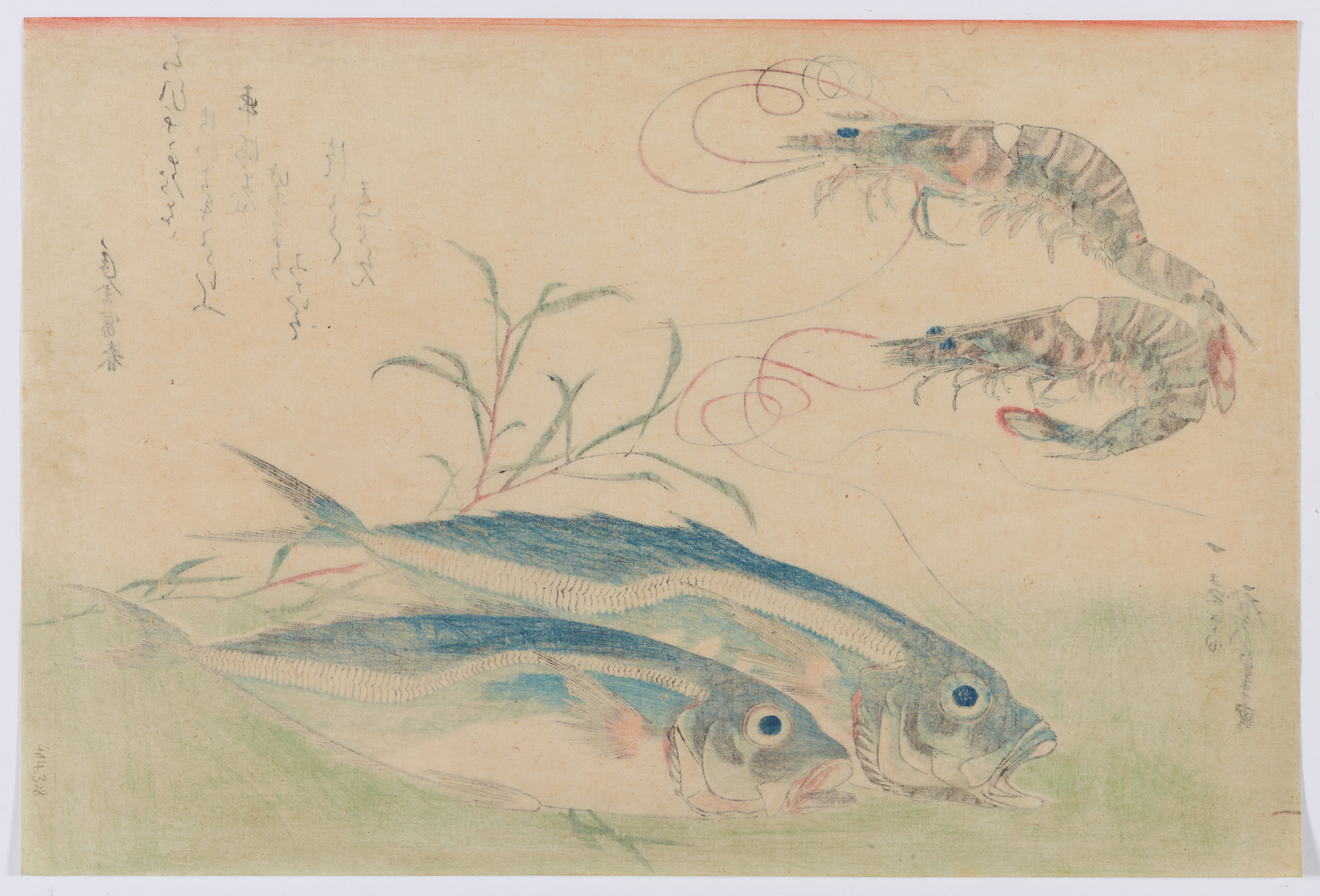 Utagawa Hiroshige - Ôban yoko-e. Series: „Uo-zukushi". Utagawa Hiroshige (1797-1858) - image-3