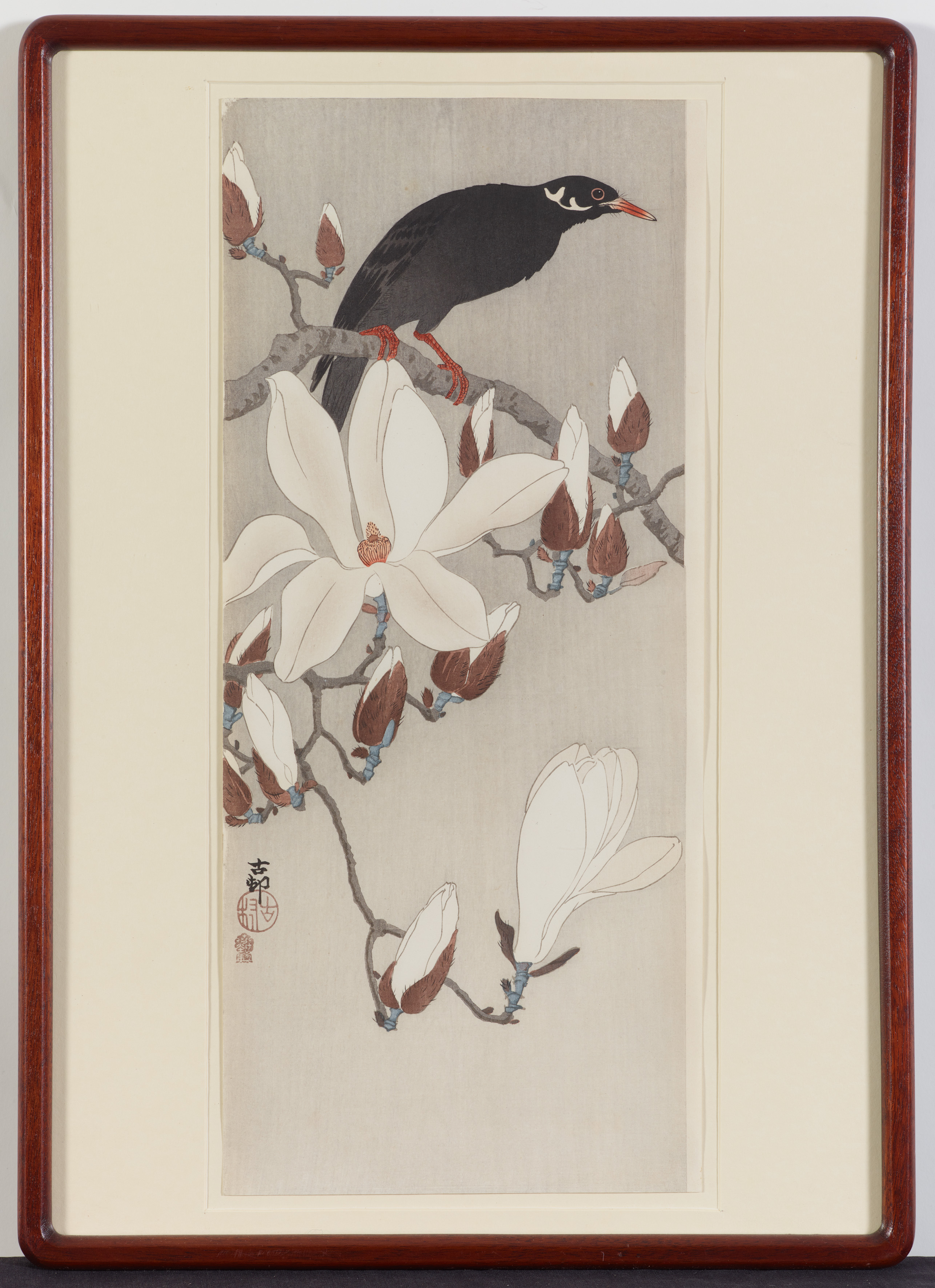 Koson Ohara - Koson Ohara (1877-1945) Naga-ôban. Maina auf einem blühenden Magnolienzweig. - image-2