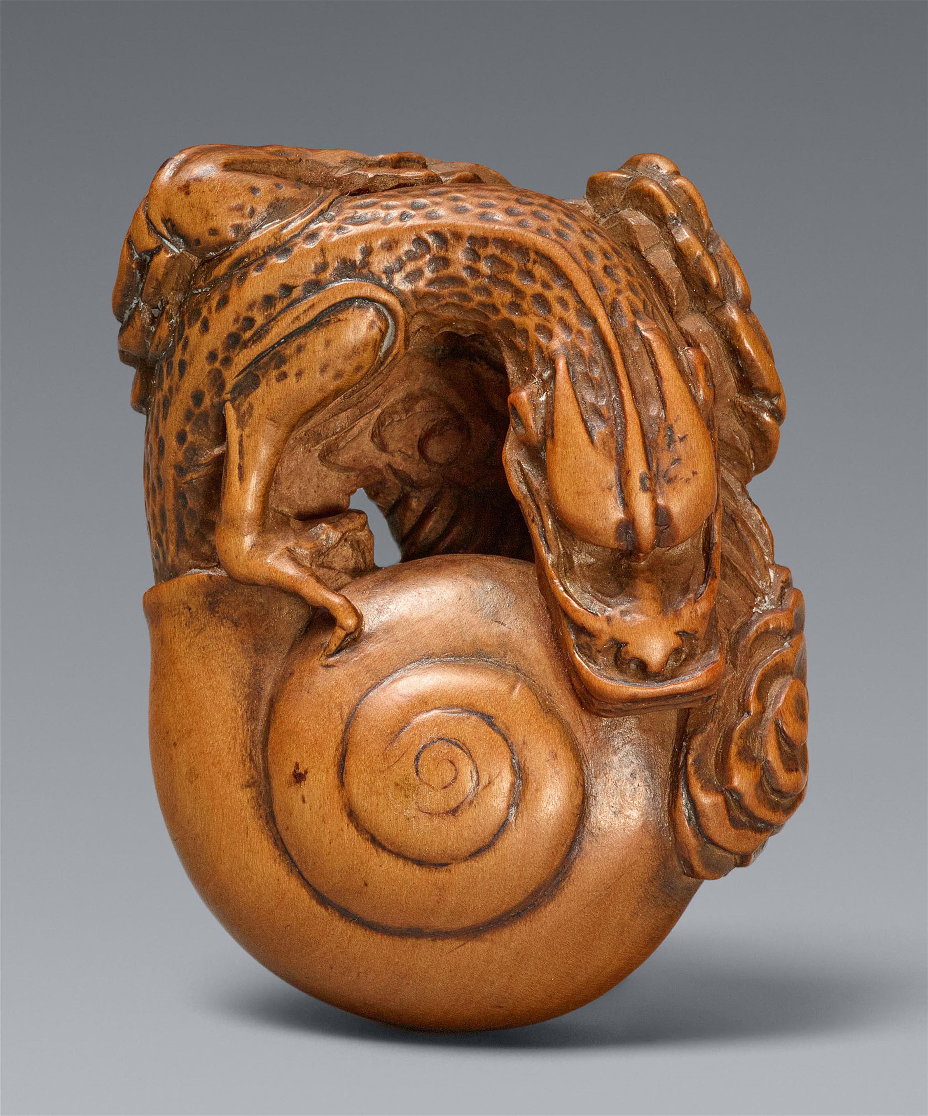 A light boxwood netsuke of a dragon emerging from a snail shell. 19th century - image-1