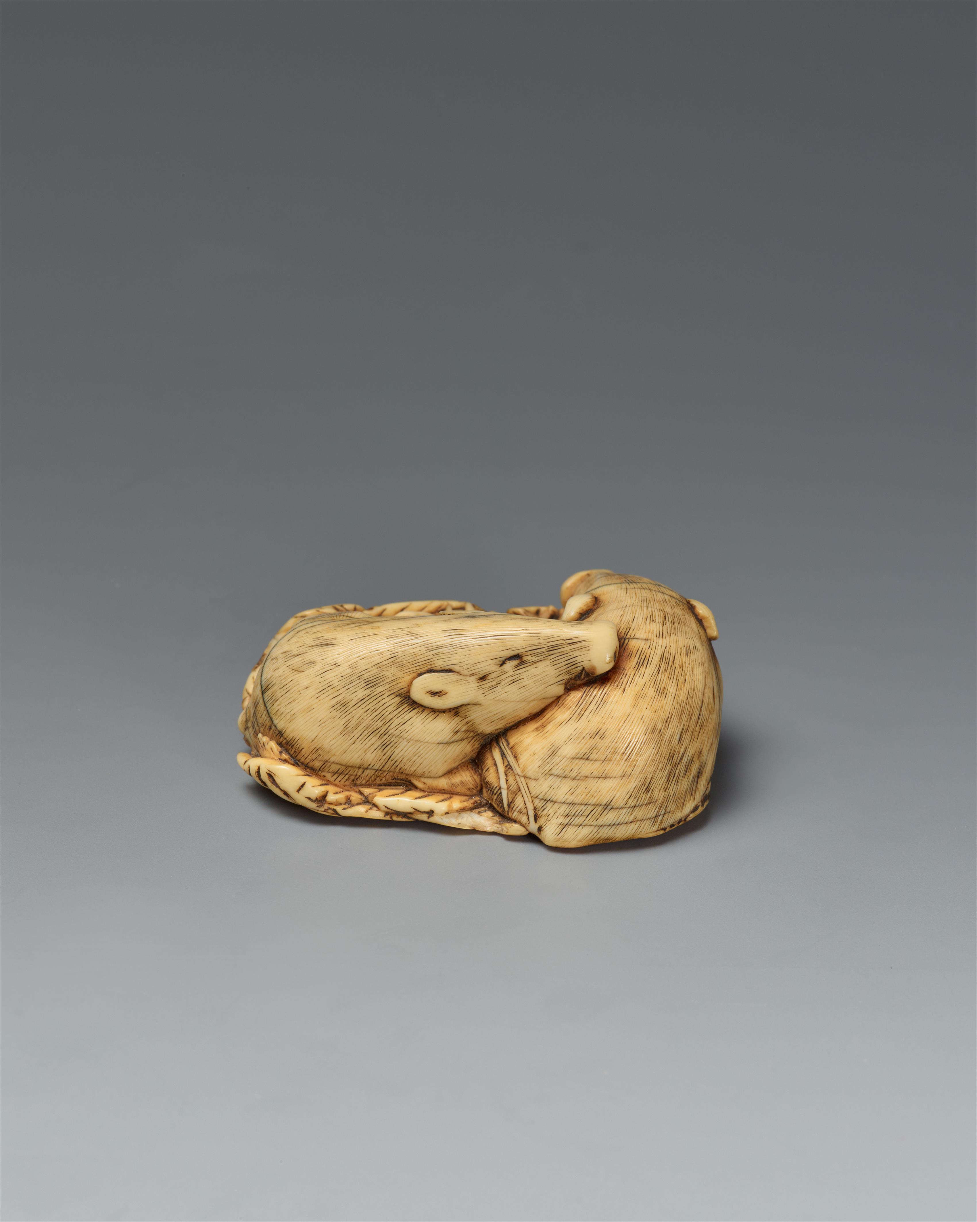 An ivory netsuke of two sleeping boars. Late 18th century - image-2