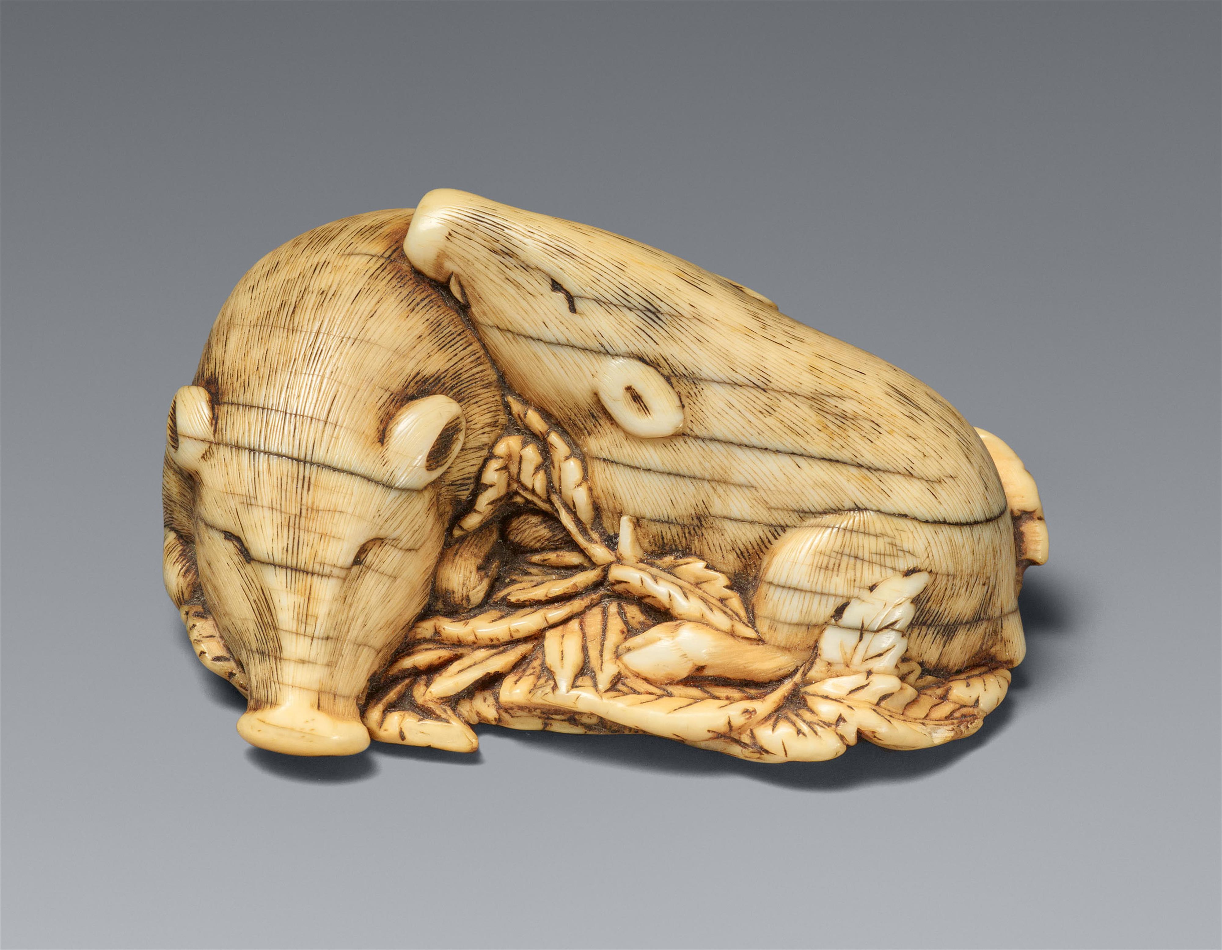 An ivory netsuke of two sleeping boars. Late 18th century - image-1