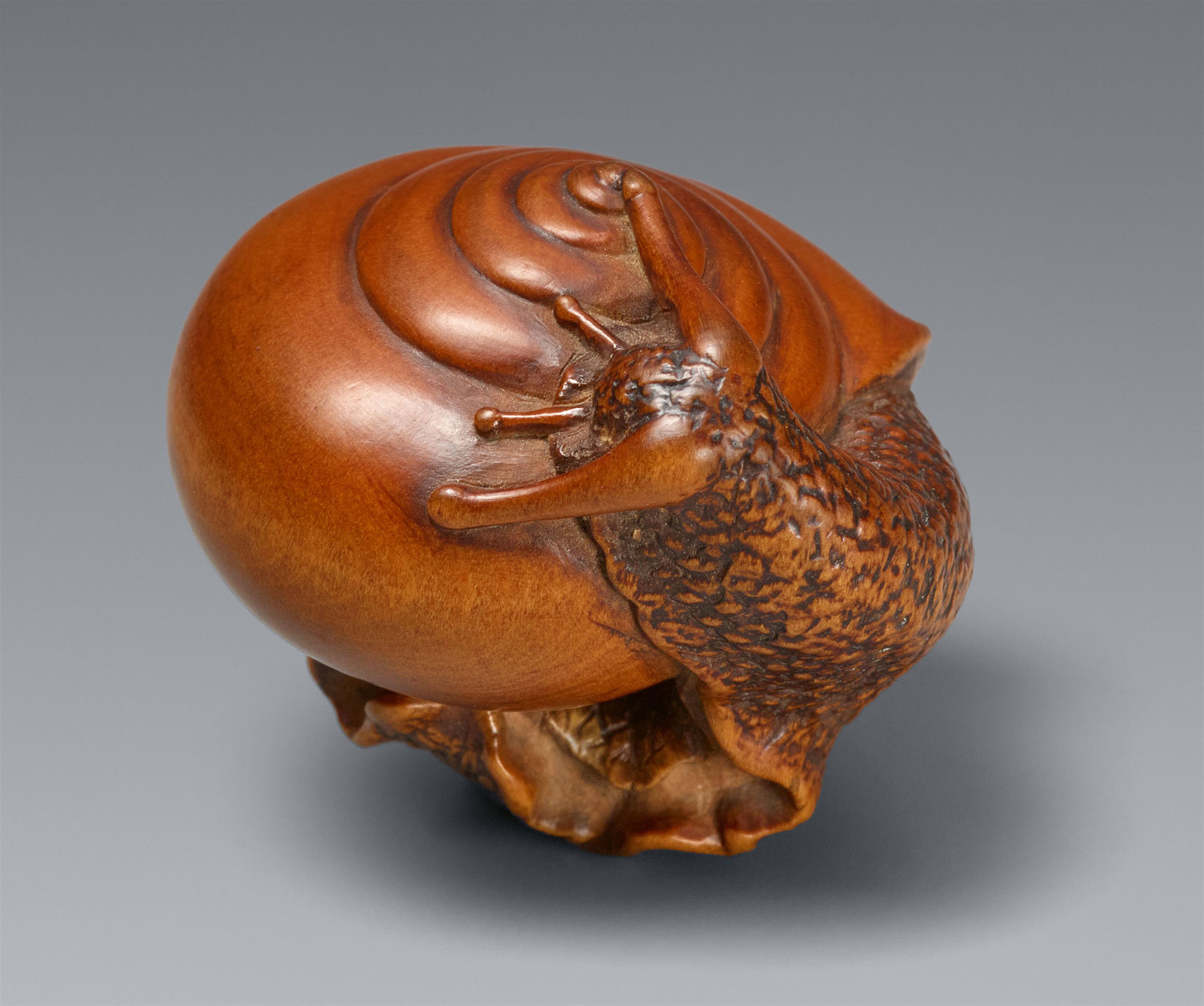 A boxwood netsuke of a snail. Ise. Mid-19th century - image-1