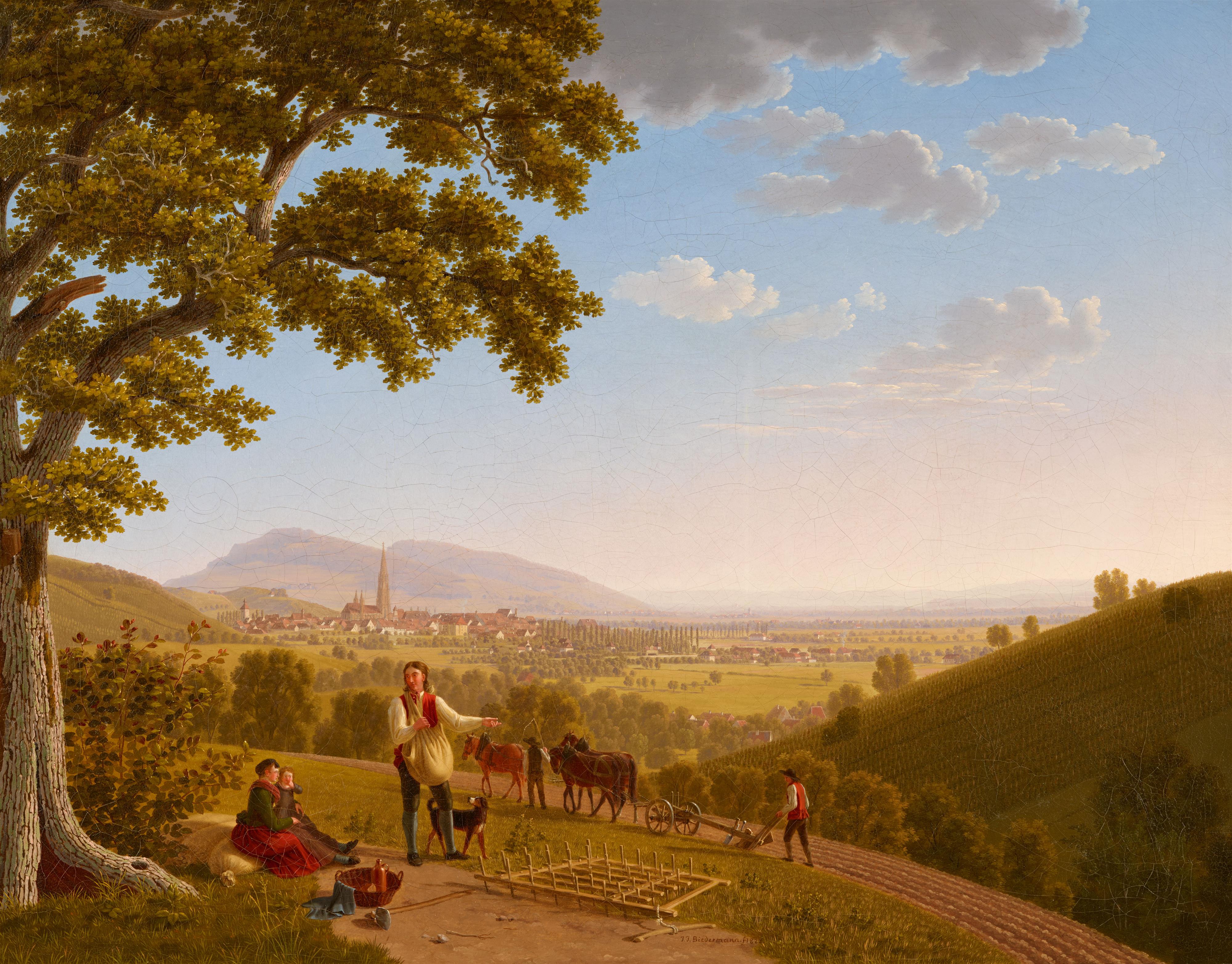 Johann Jakob Biedermann - Ansicht auf Freiburg von Norden aus - image-1