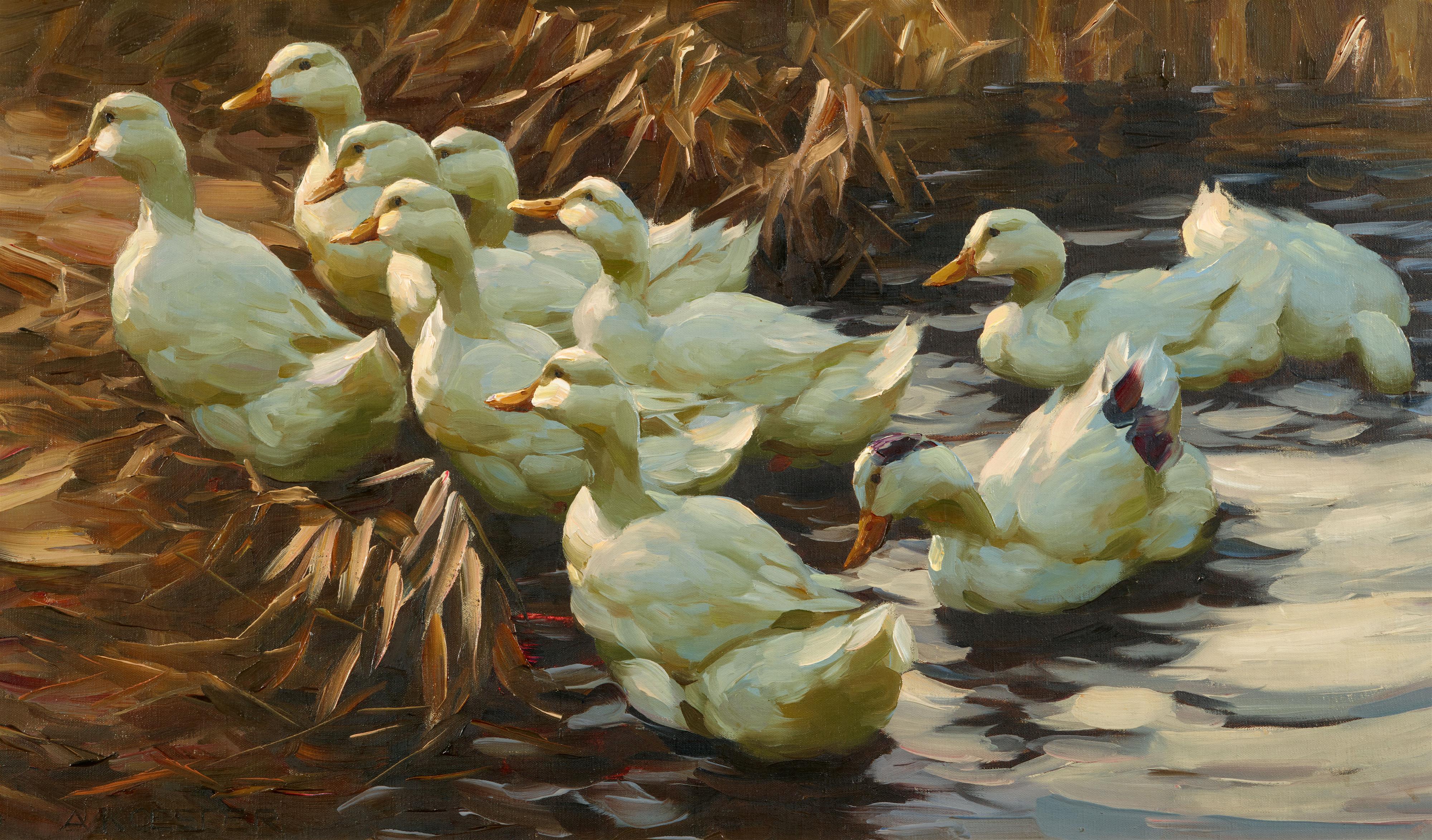 Alexander Koester - Ducks leaving the Water - image-1