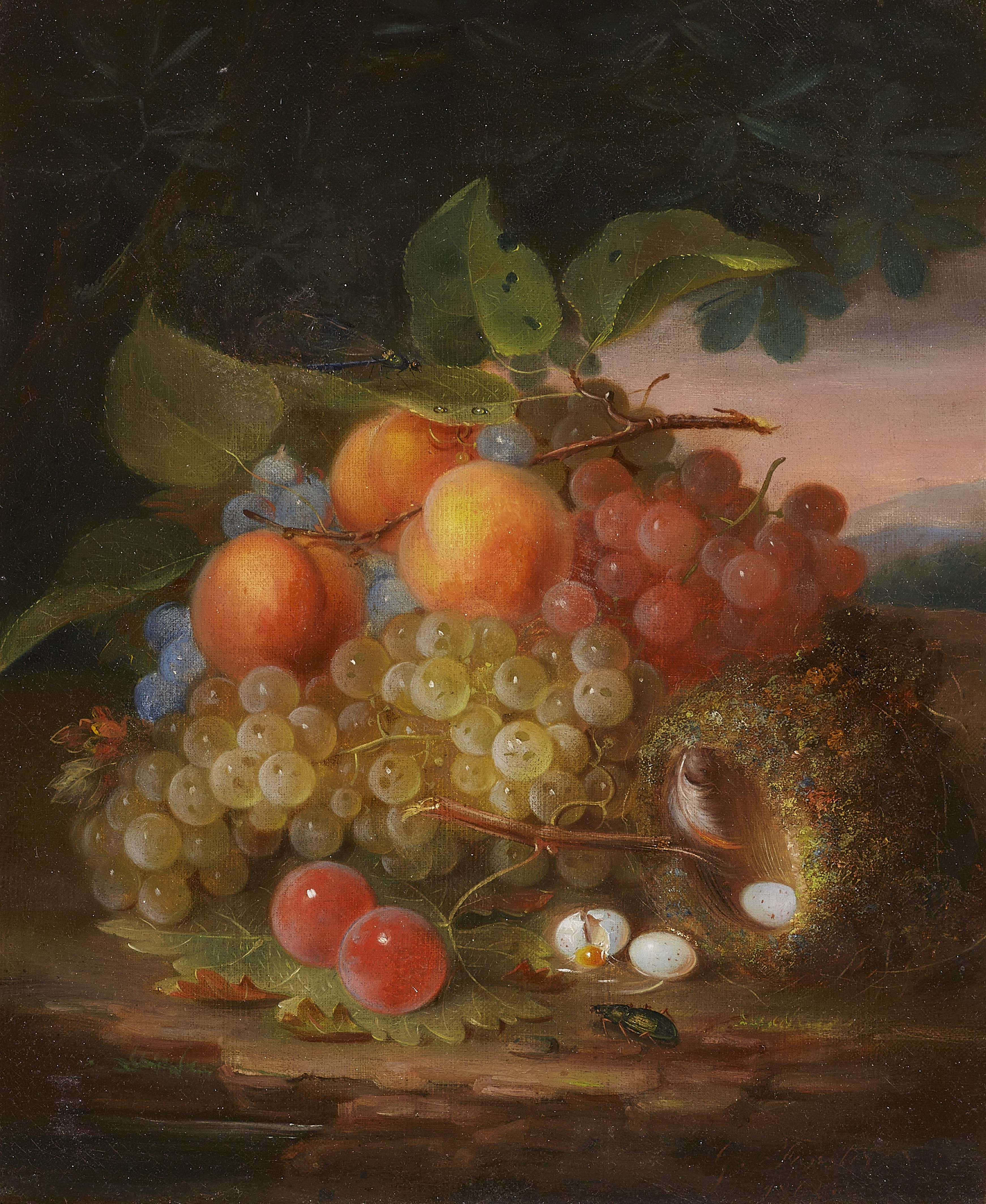 George Forster - Still Life with Fruit and Bird's Nest - image-1