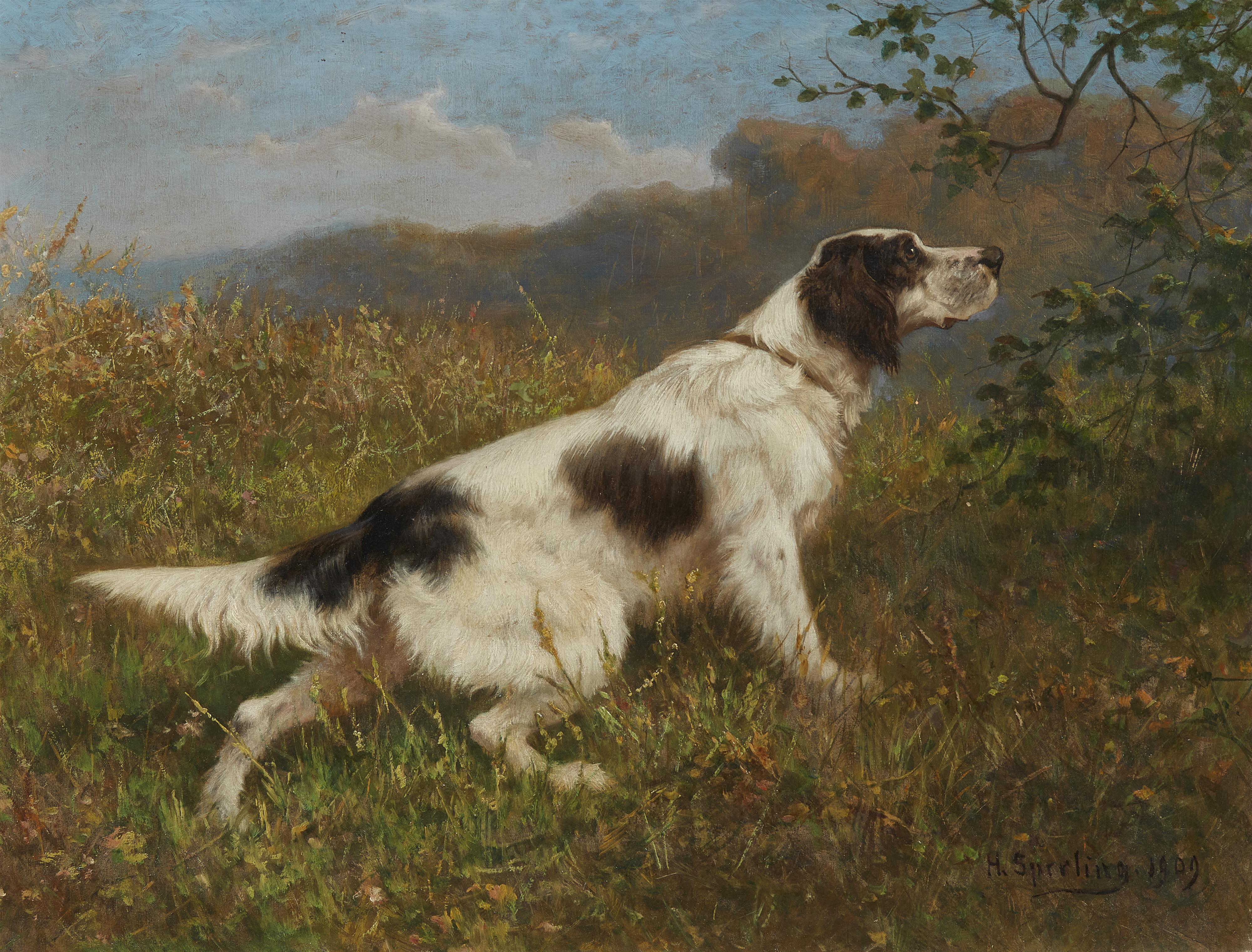 Heinrich Sperling - Münsterlander Hunting Dog - image-1