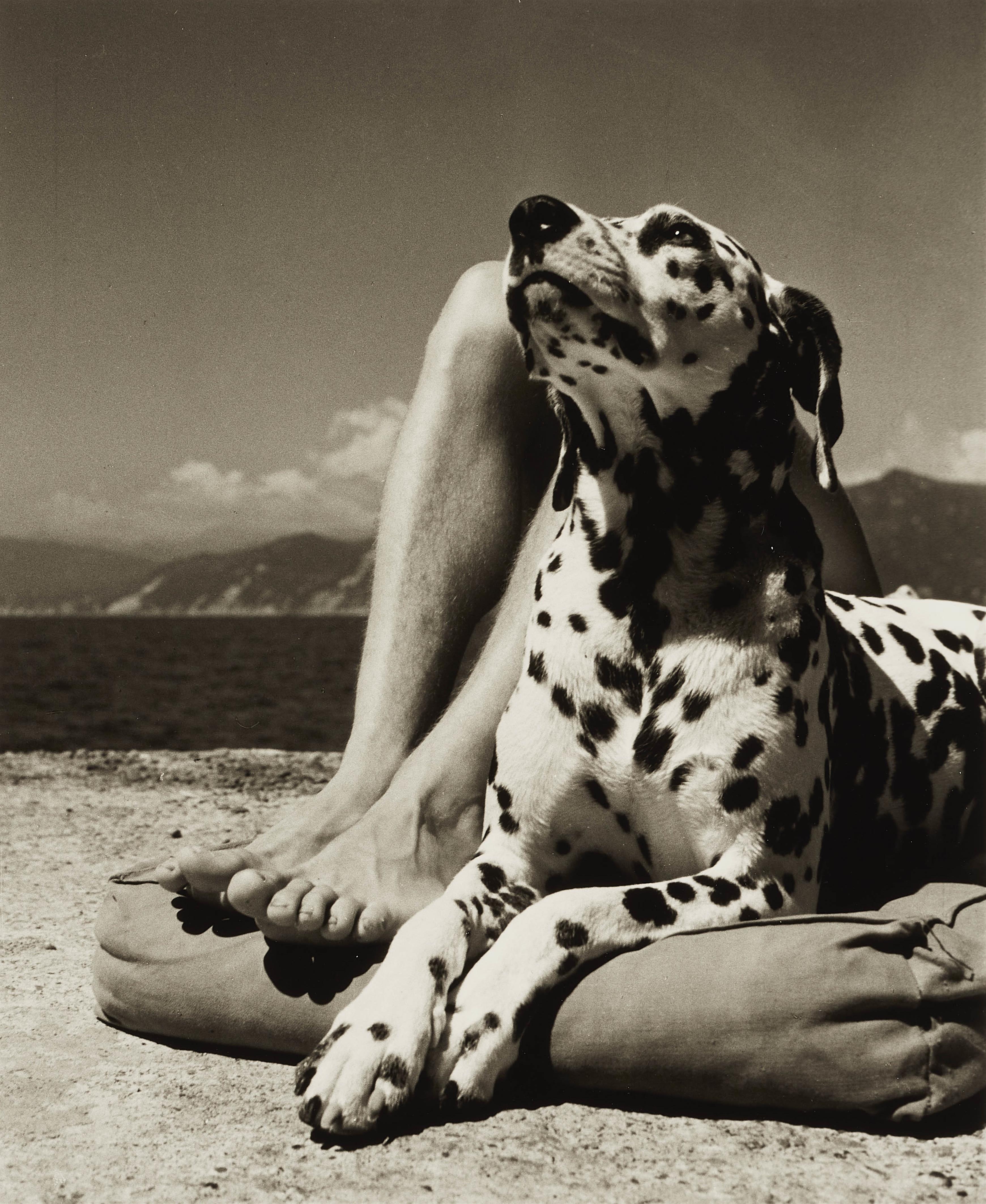 Herbert List - Master and Dog, Portofino - image-1