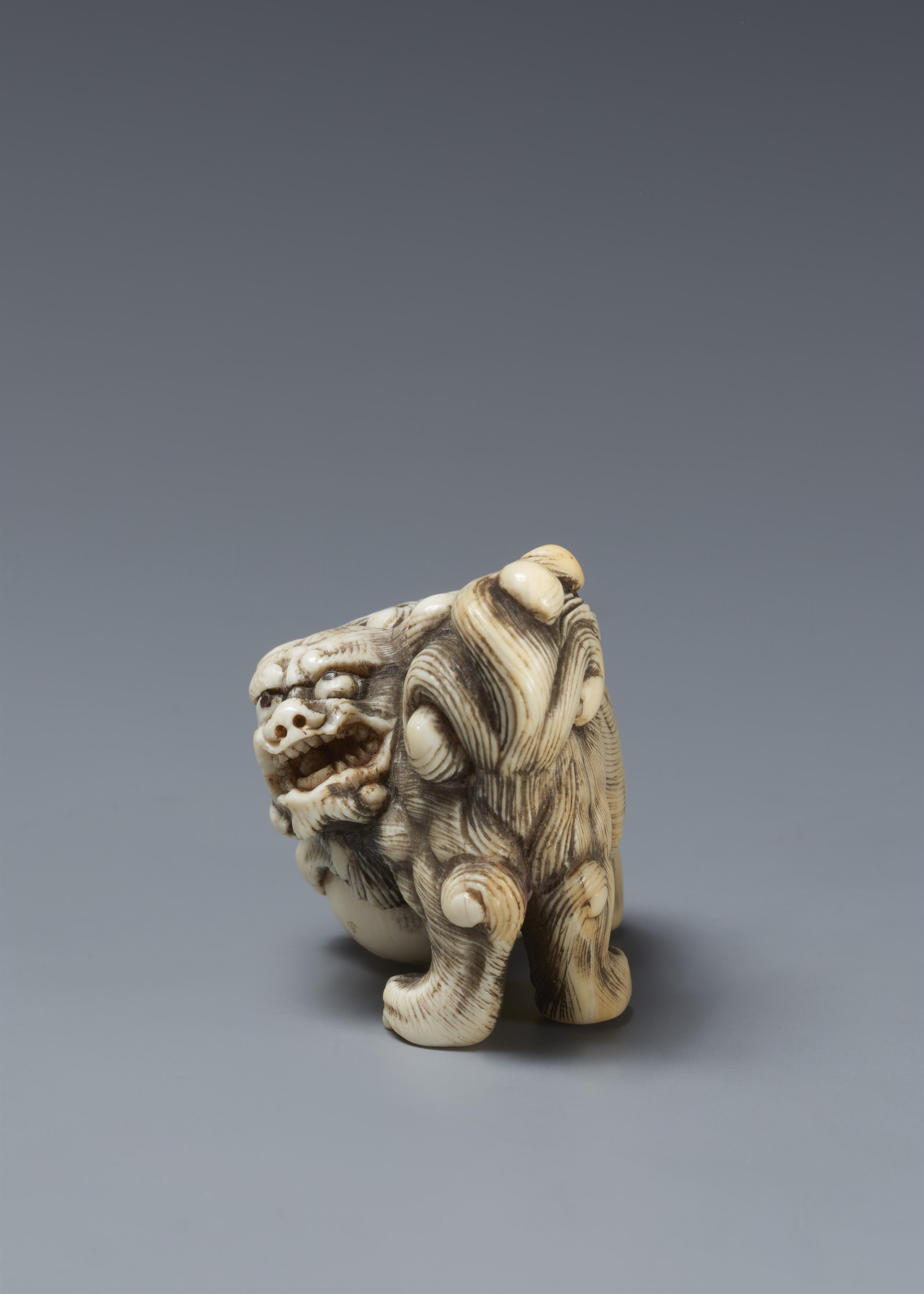 A Kyoto school ivory netsuke of a roaring shishi. Early 19th century - image-3