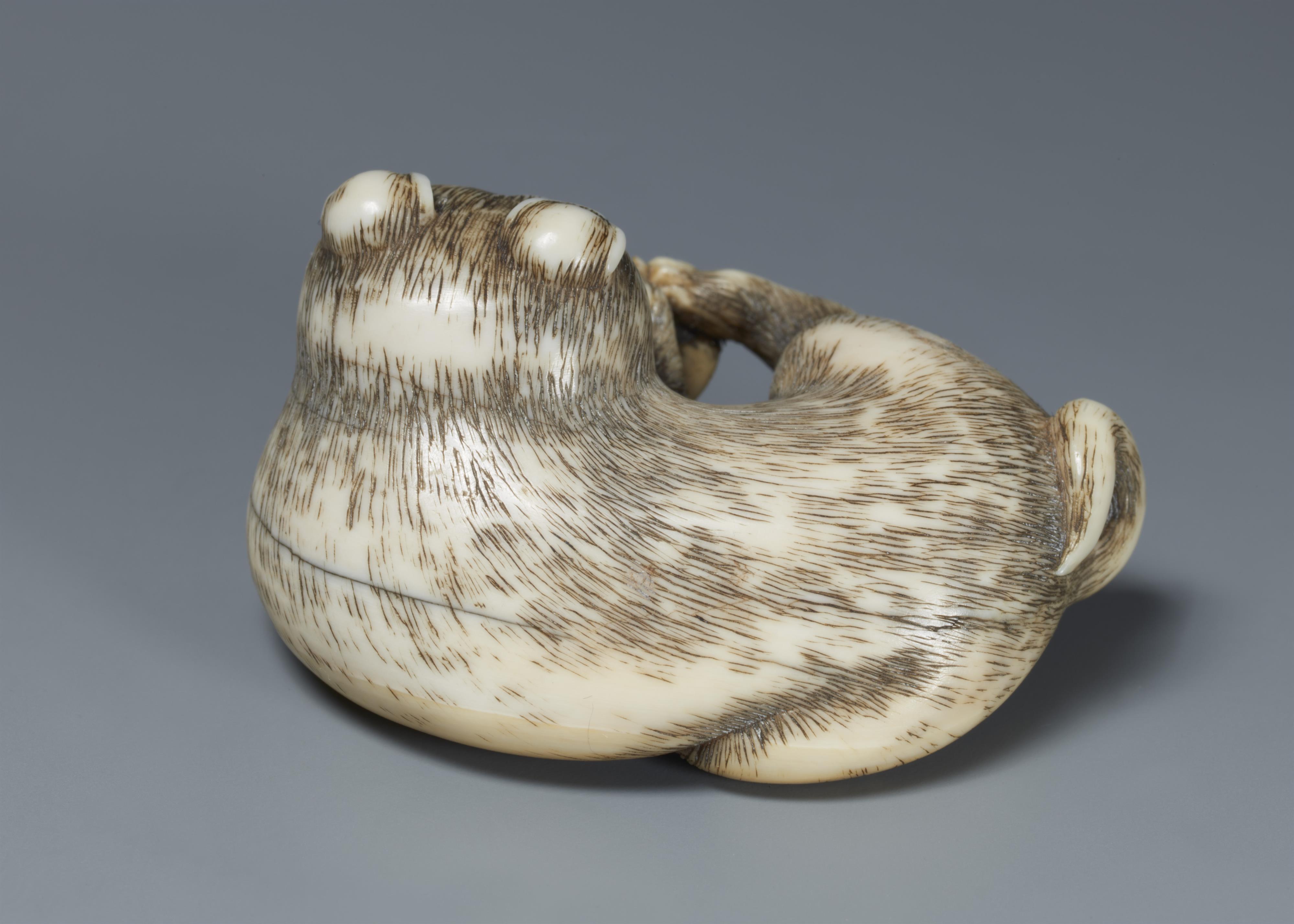 An ivory netsuke of a young dog with a clam. 19th century - image-2