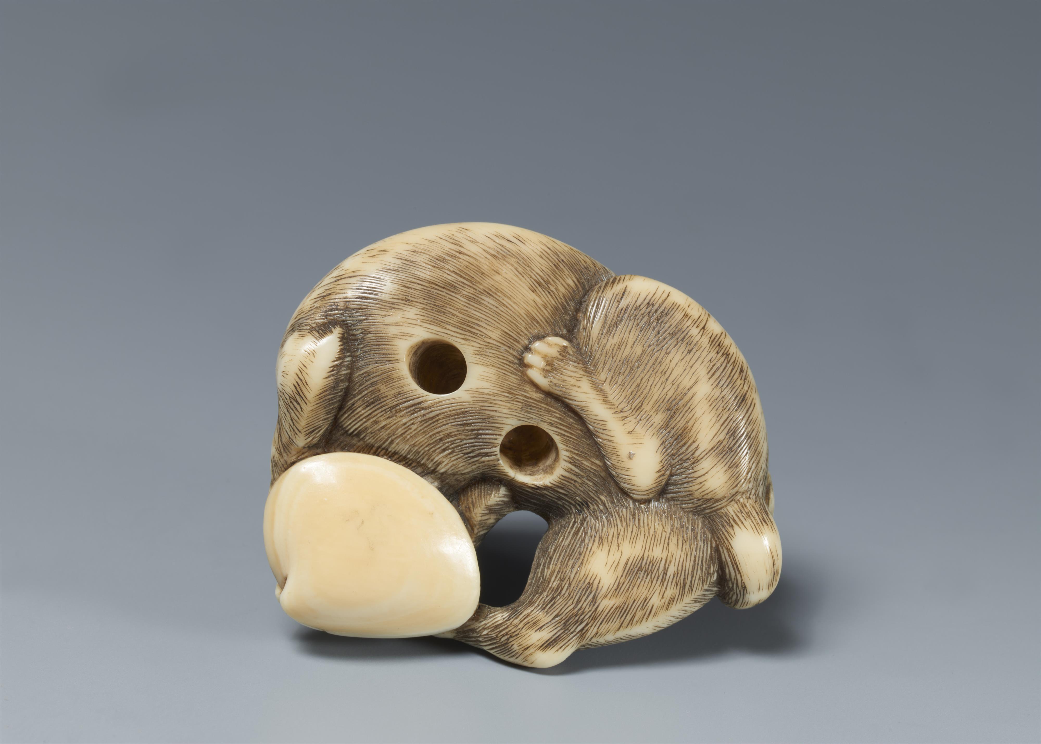 An ivory netsuke of a young dog with a clam. 19th century - image-5