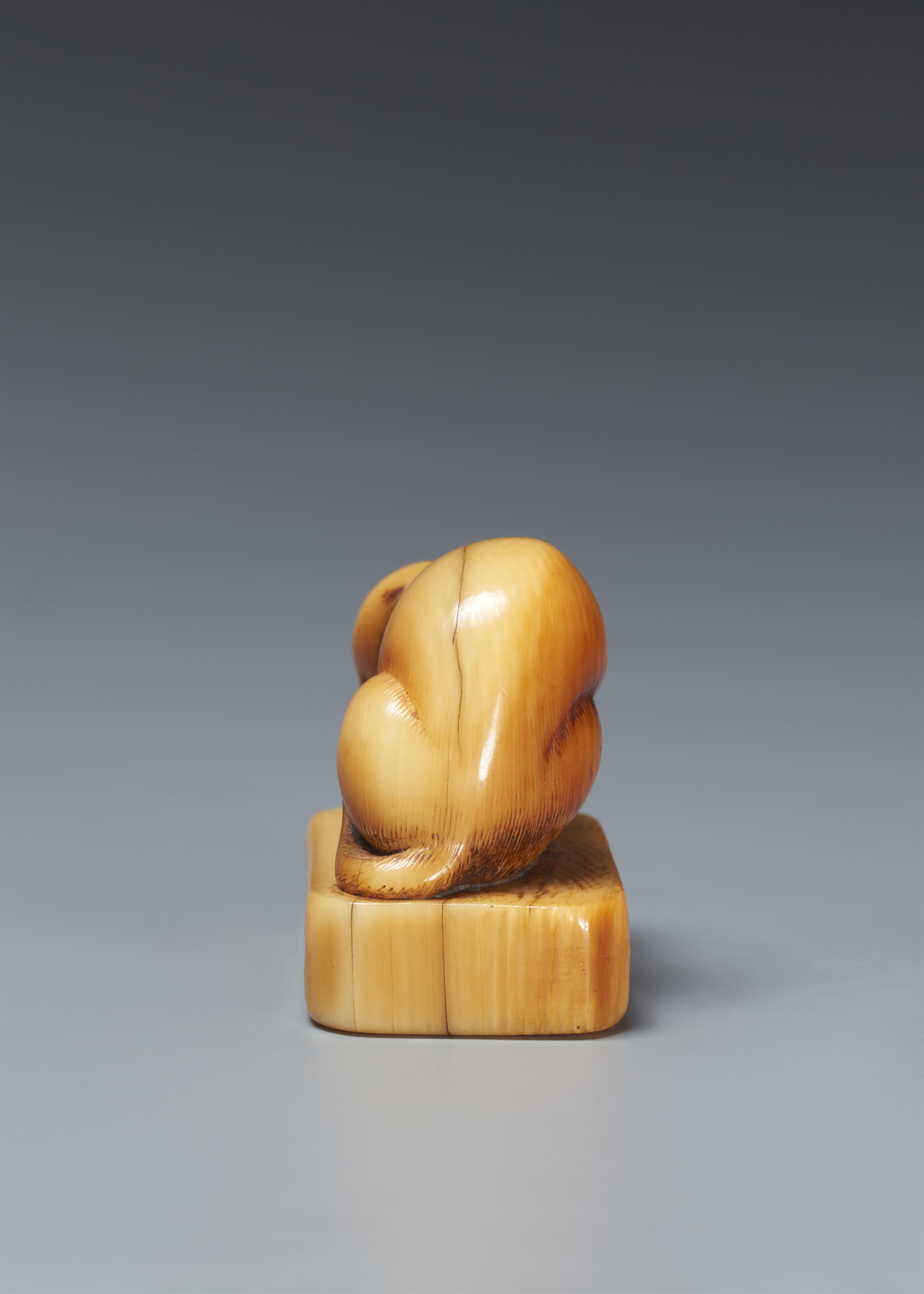 An ivory seal-type netsuke of a cat. 18th century - image-2