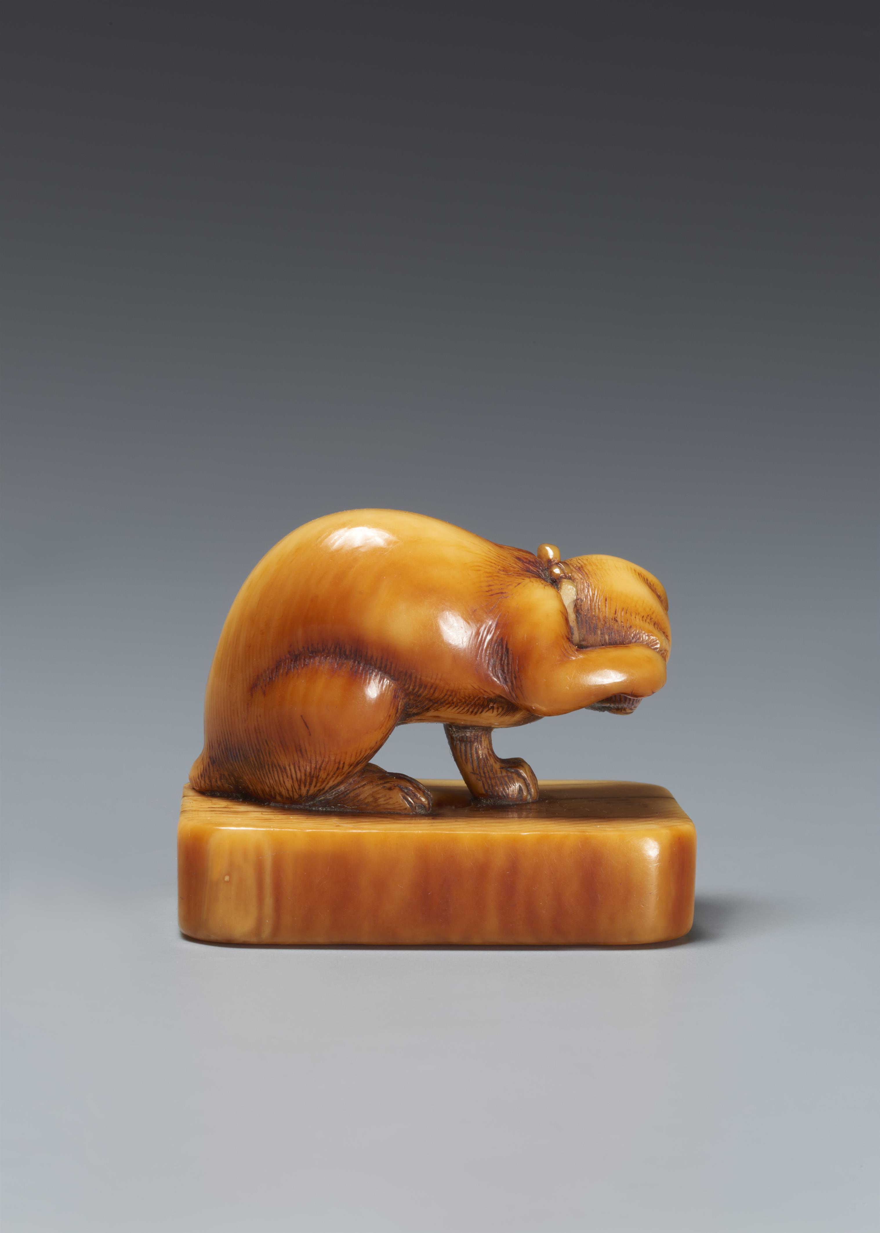 An ivory seal-type netsuke of a cat. 18th century - image-4