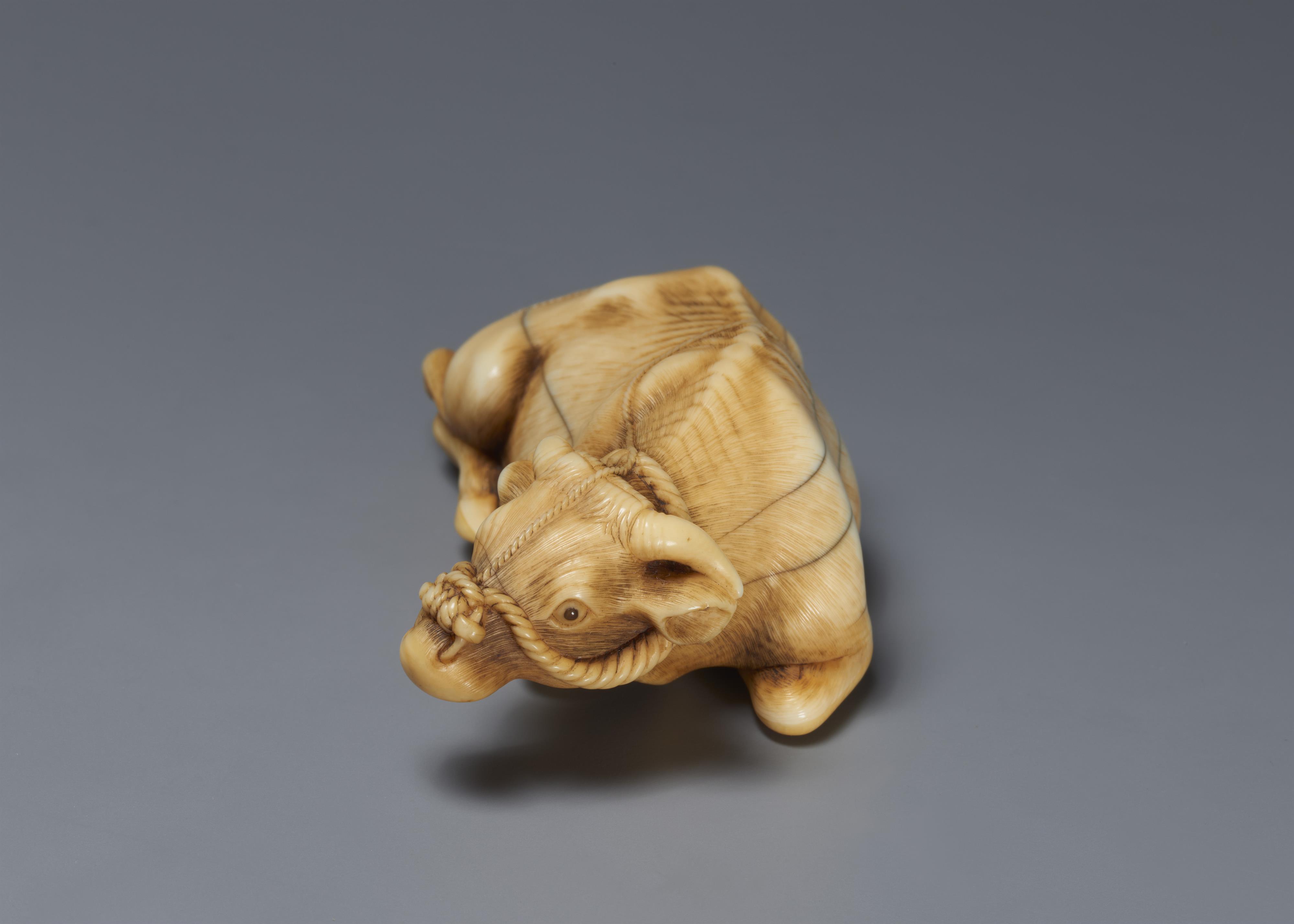 A fine ivory netsuke of an reclining ox. Late 18th century - image-3