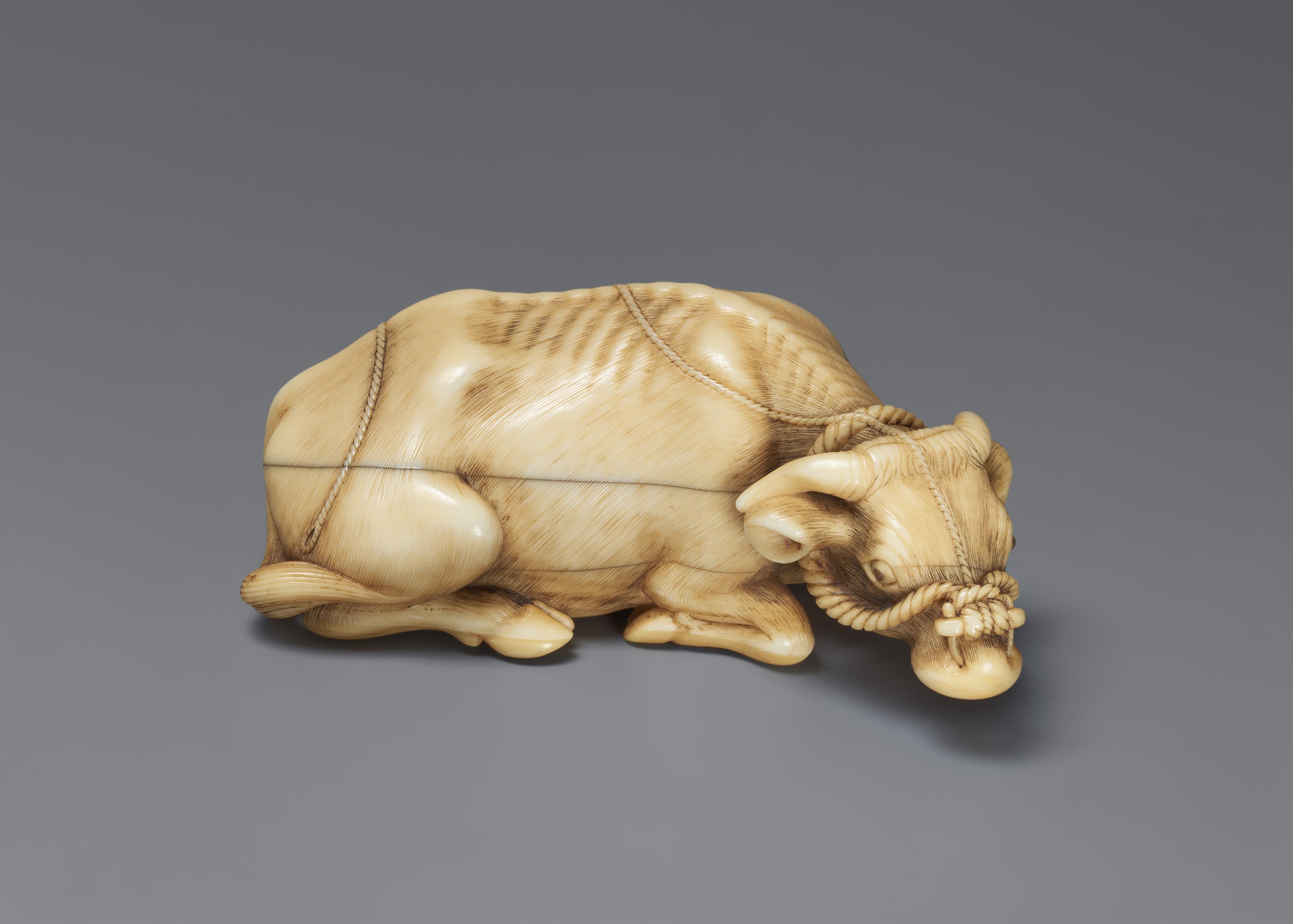 A fine ivory netsuke of an reclining ox. Late 18th century - image-1