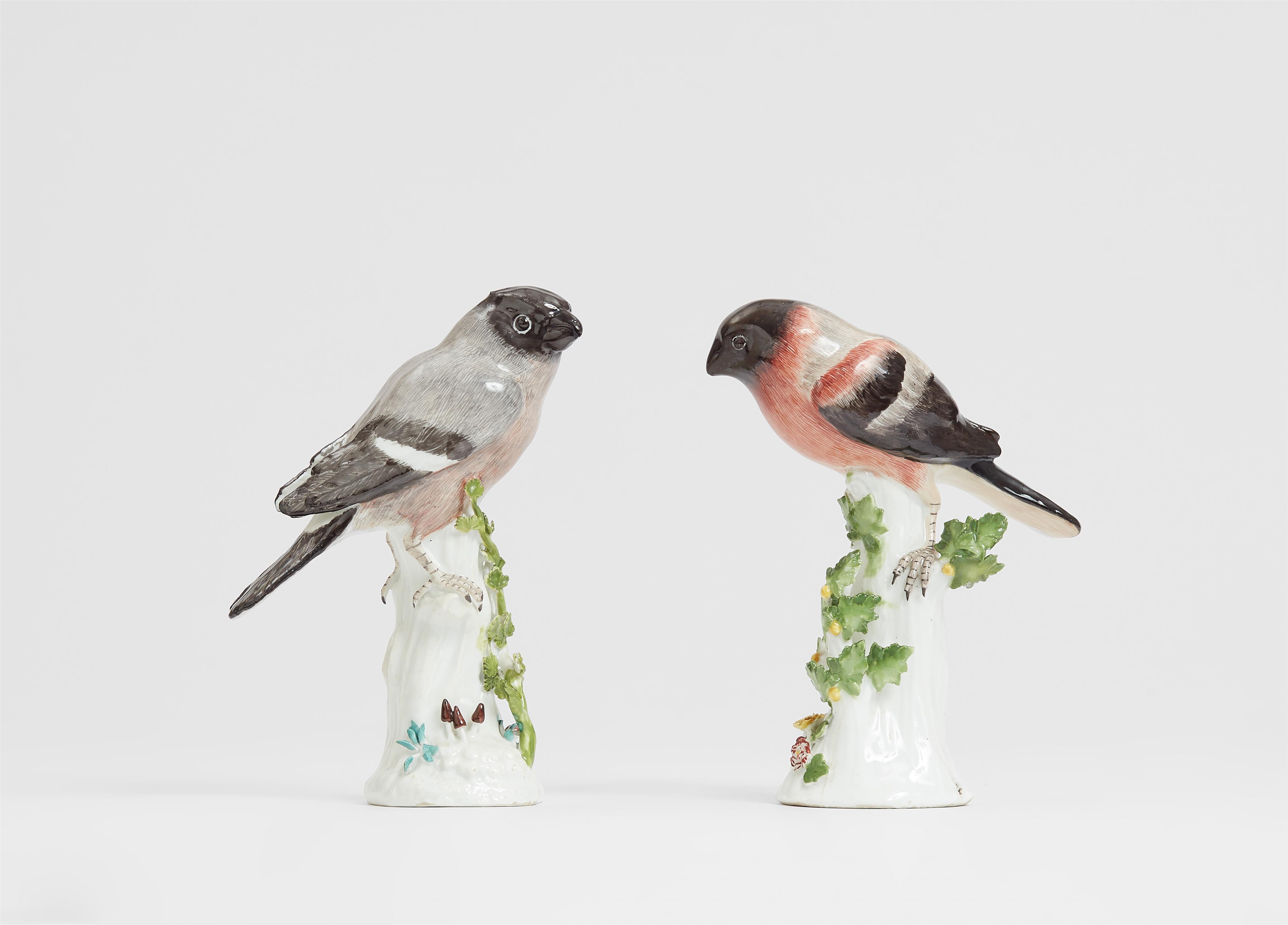 A rare pair of Meissen porcelain bullfinches - image-2