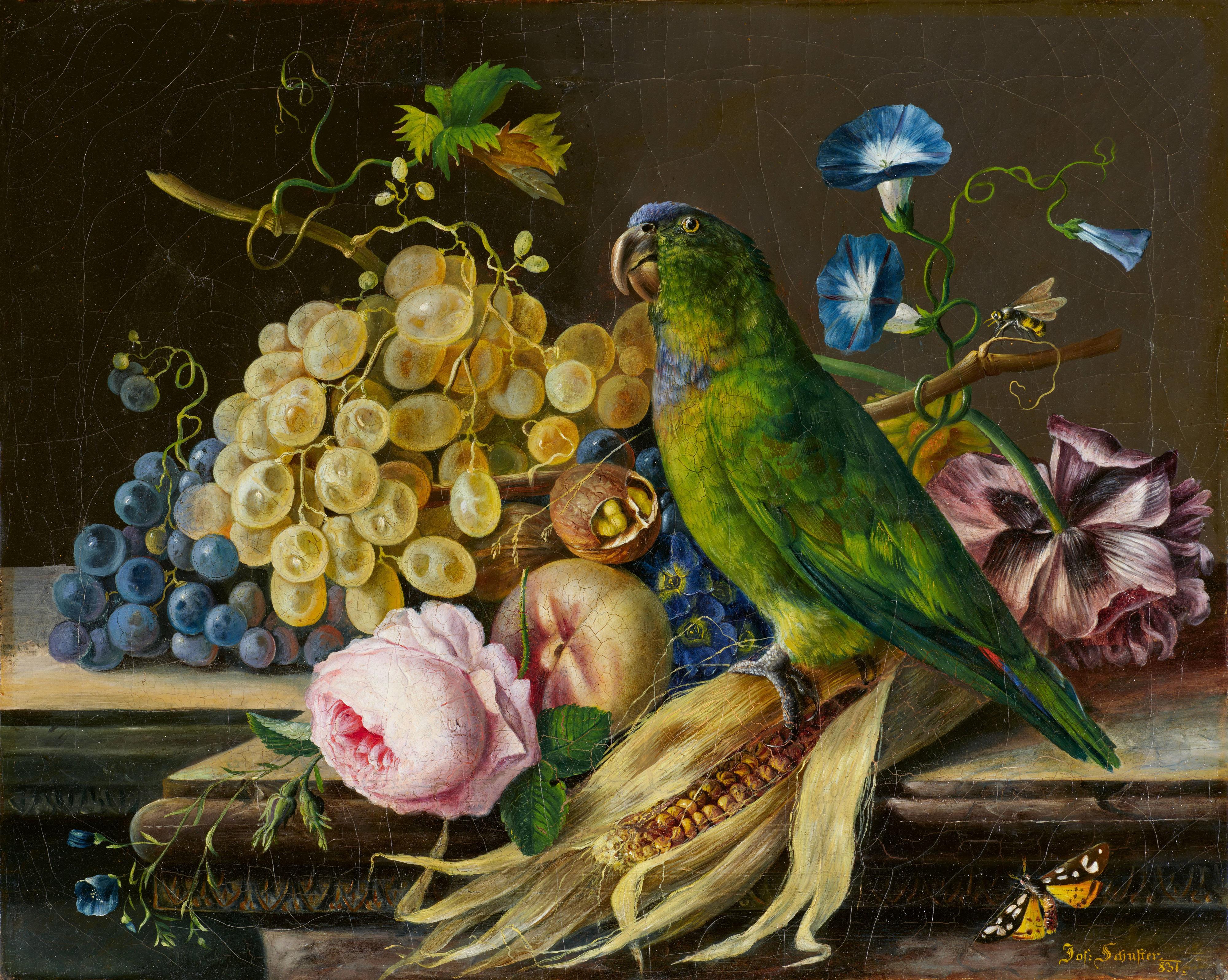 Josef Schuster - Still Life with a Parrot - image-1