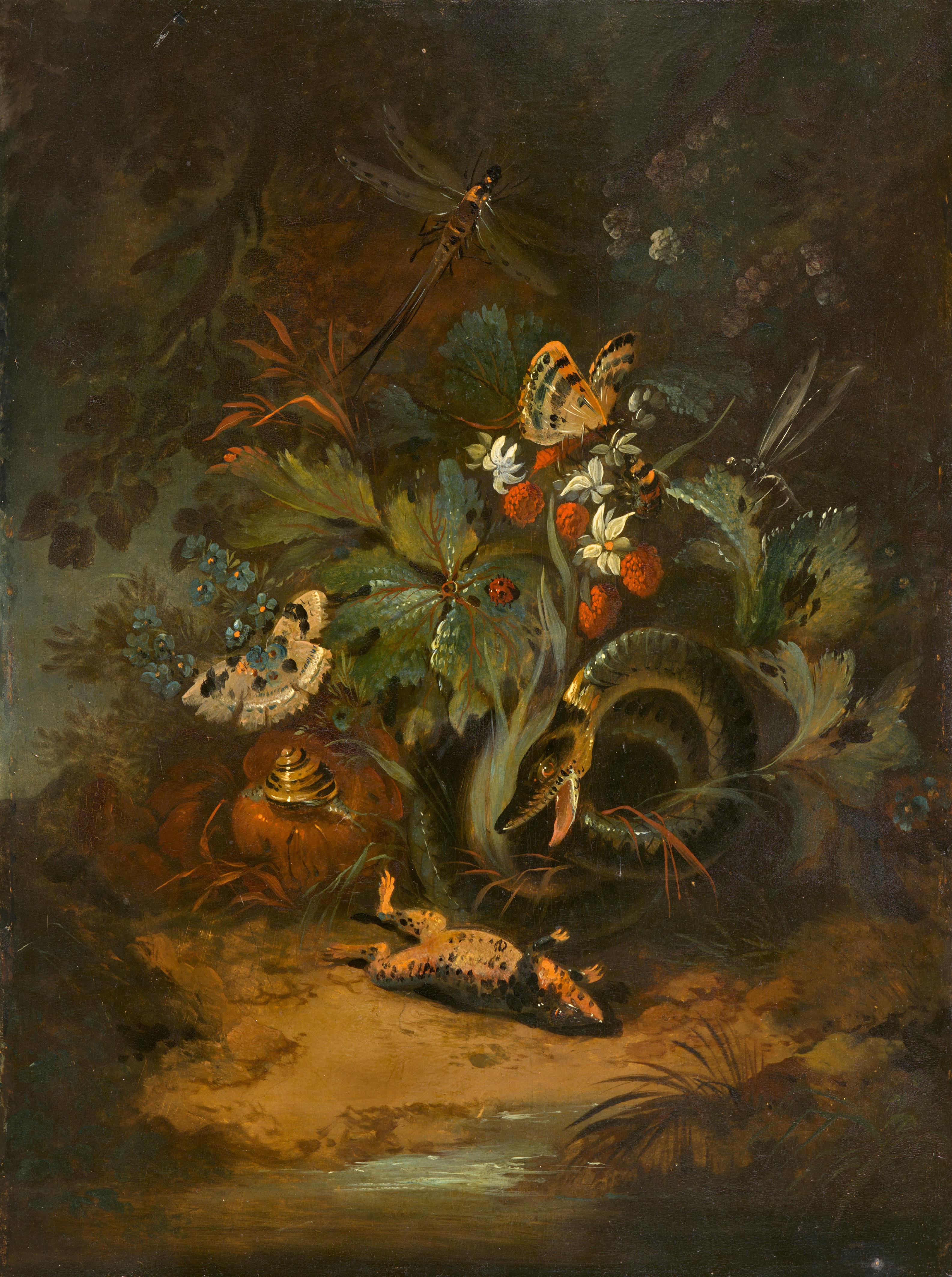 Carl Wilhelm de Hamilton - Waldinneres mit Schlange, Frosch und Insekten - image-1