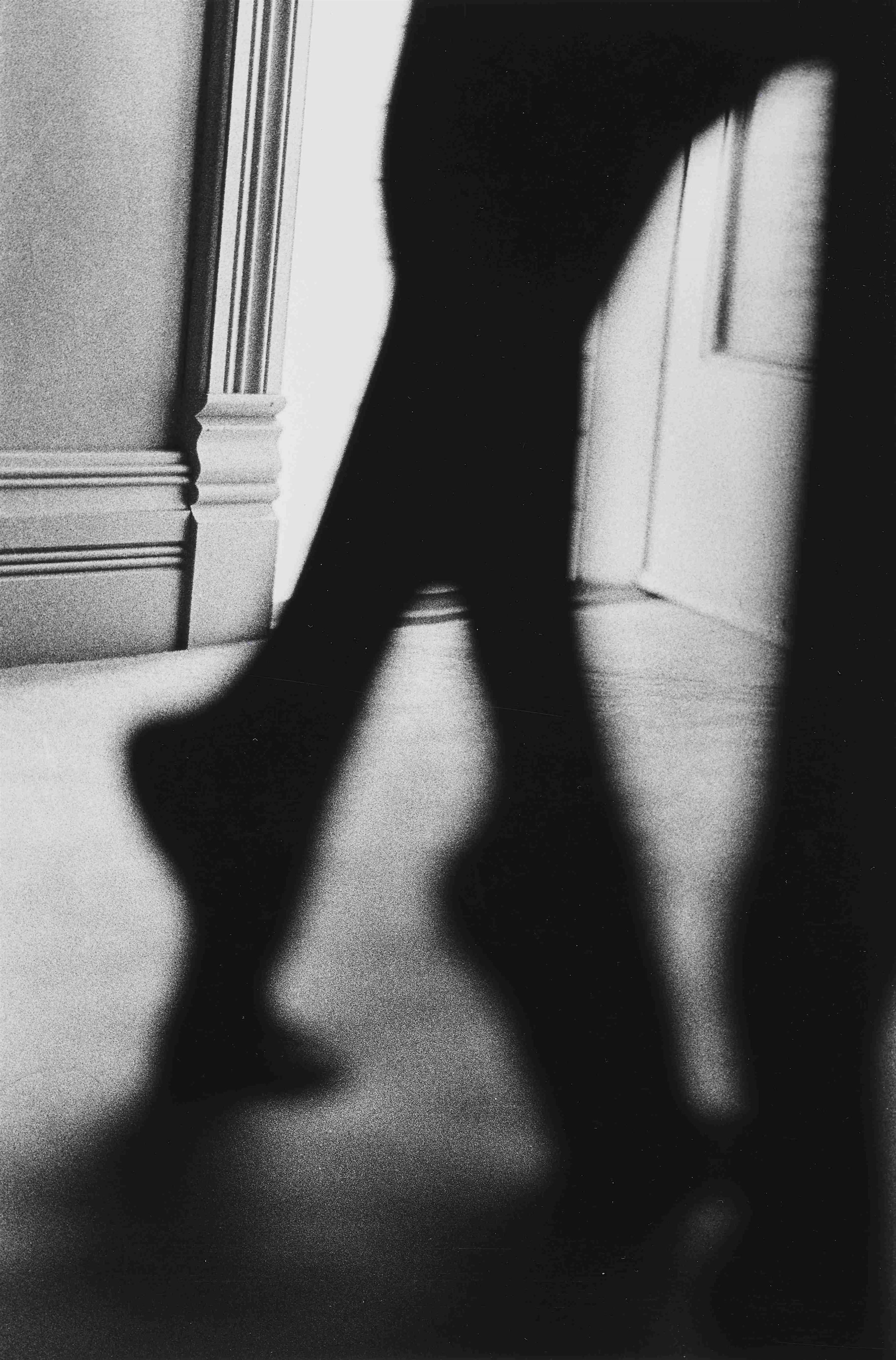 Ralph Gibson - Untitled (from the series: In Situ) - image-1