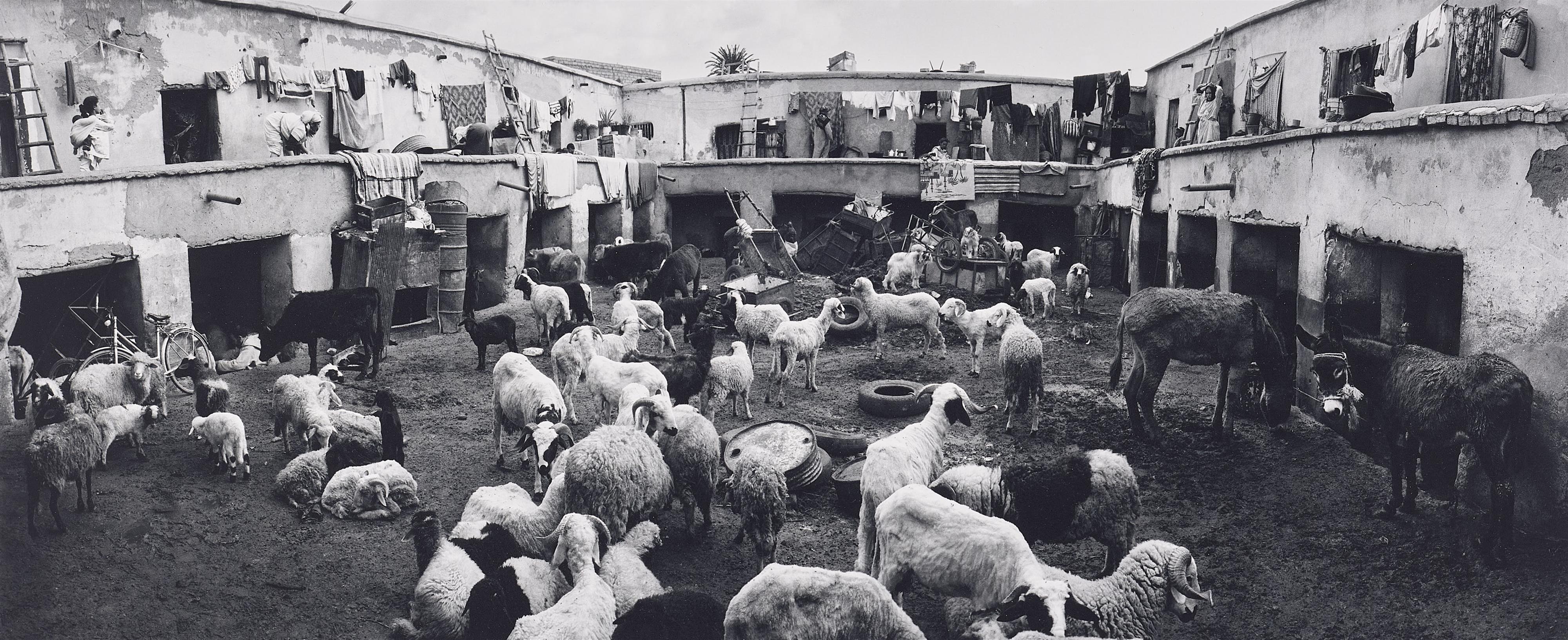Kristoffer Albrecht
Joaschim Eskildsen
Pentti Sammallahti - Al-Madina - Sechs Bilder aus Marokko - image-2