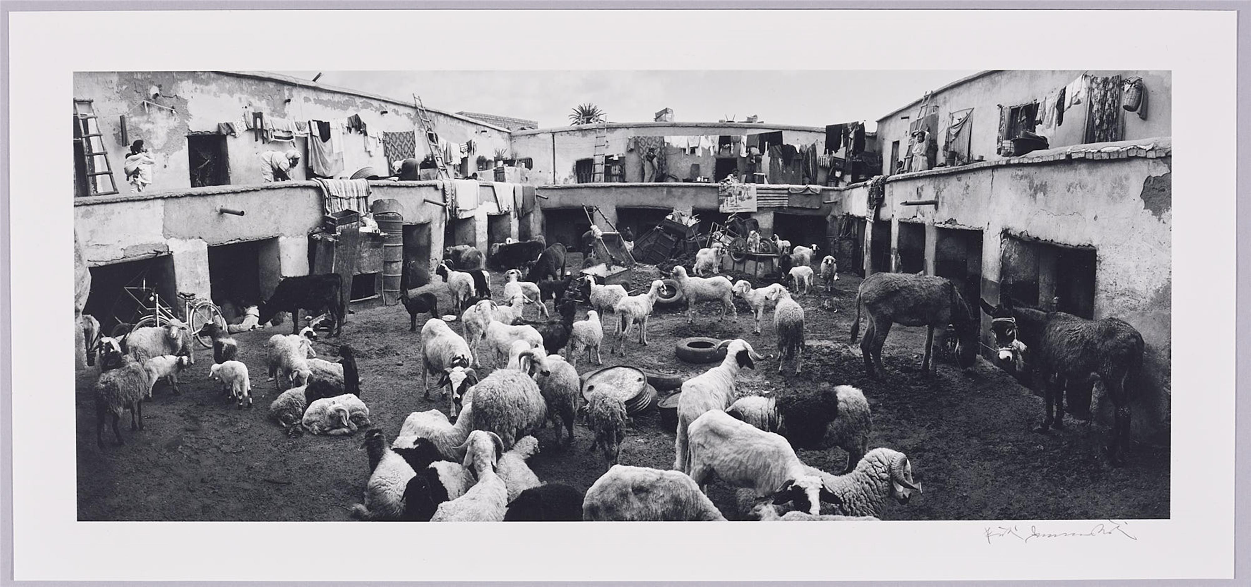 Kristoffer Albrecht
Joakim Eskildsen
Pentti Sammallahti - Al-Madina - Sechs Bilder aus Marokko - image-9