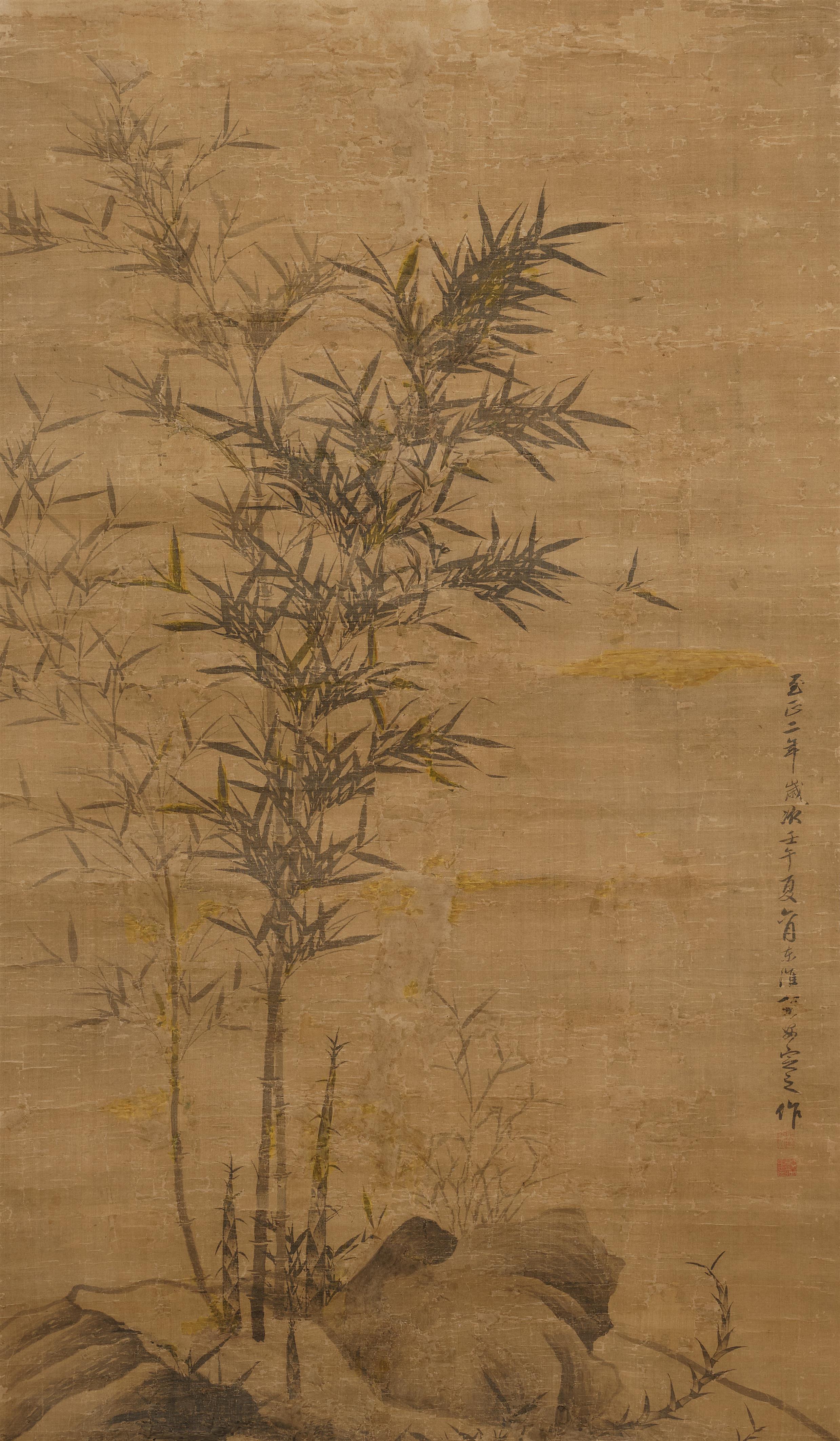 Bambus an Felsen - image-1
